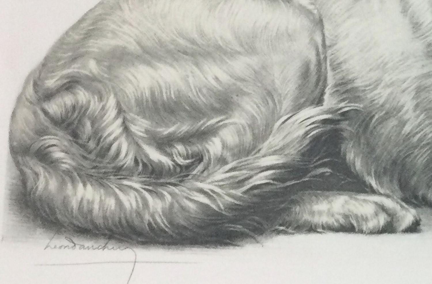 Two Setters Resting is a beautiful detailed portrait by the great French artist Leon Danchin.  This print is adhered to an acid free board and is in perfect condition except for the top border outside the plate mark which will not show when matted