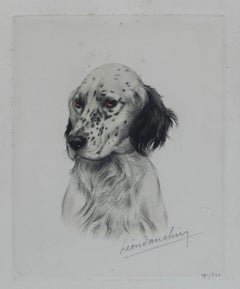 Vintage Handcolored Engaving Portrait of a Setter signed by Leon Danchin