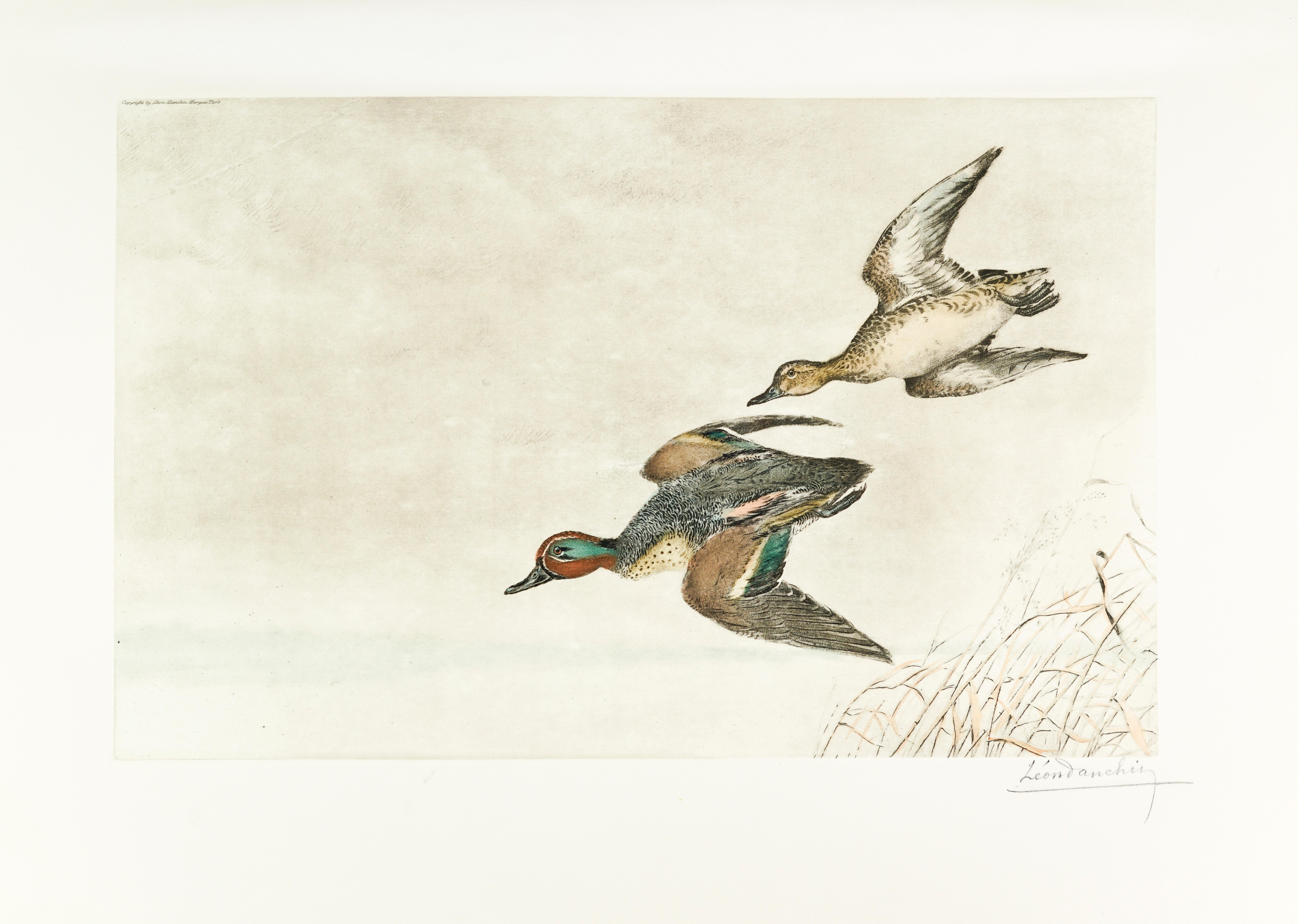 Animal Print Leon Danchin - « Vol de Canards » (Flight of Ducks)
