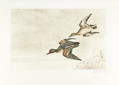 "Vol de Canards" (Flight of Ducks)