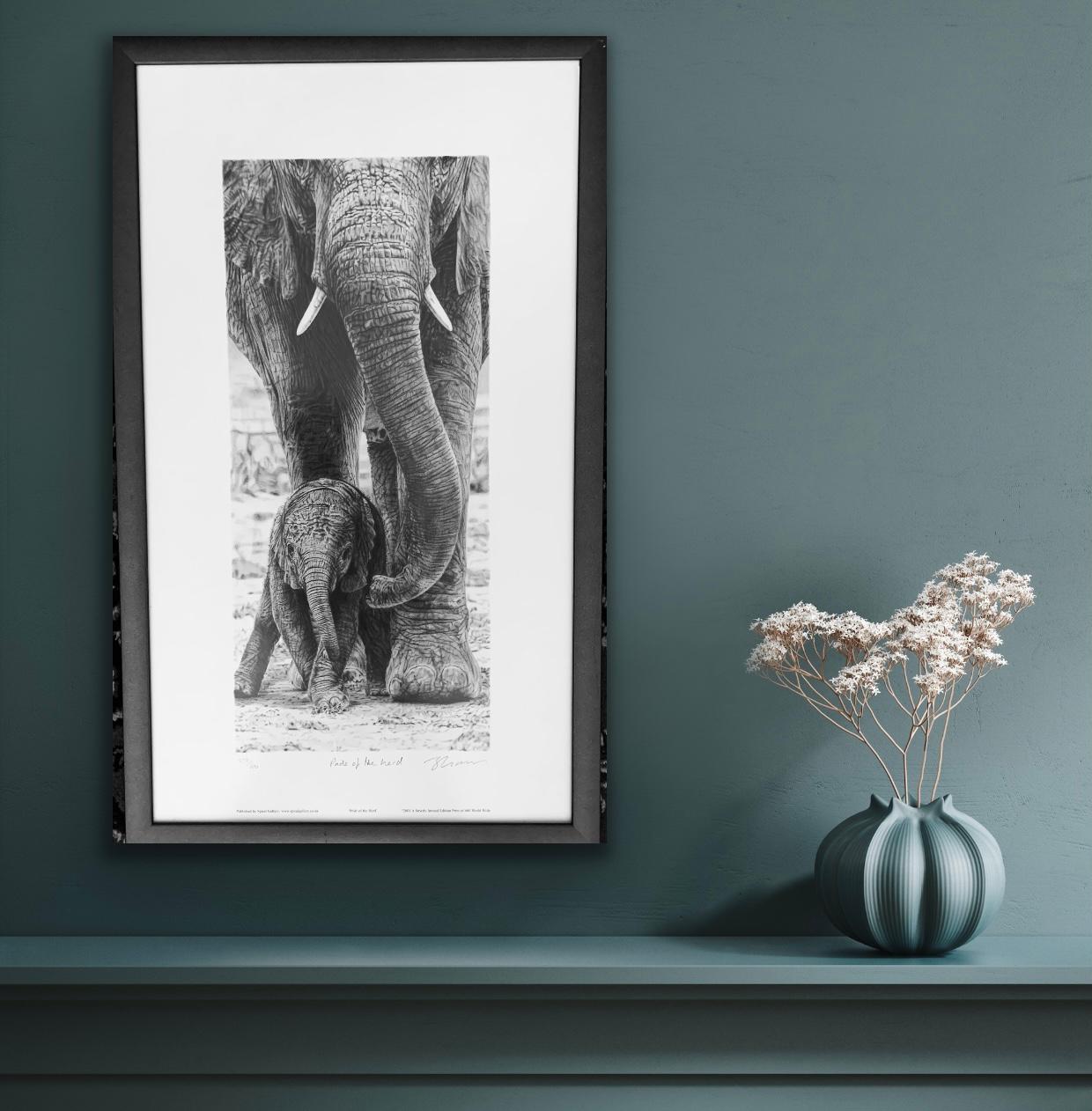 African Elephant 'Pride of the Herd' Limited Edition Framed Print 529/600 5