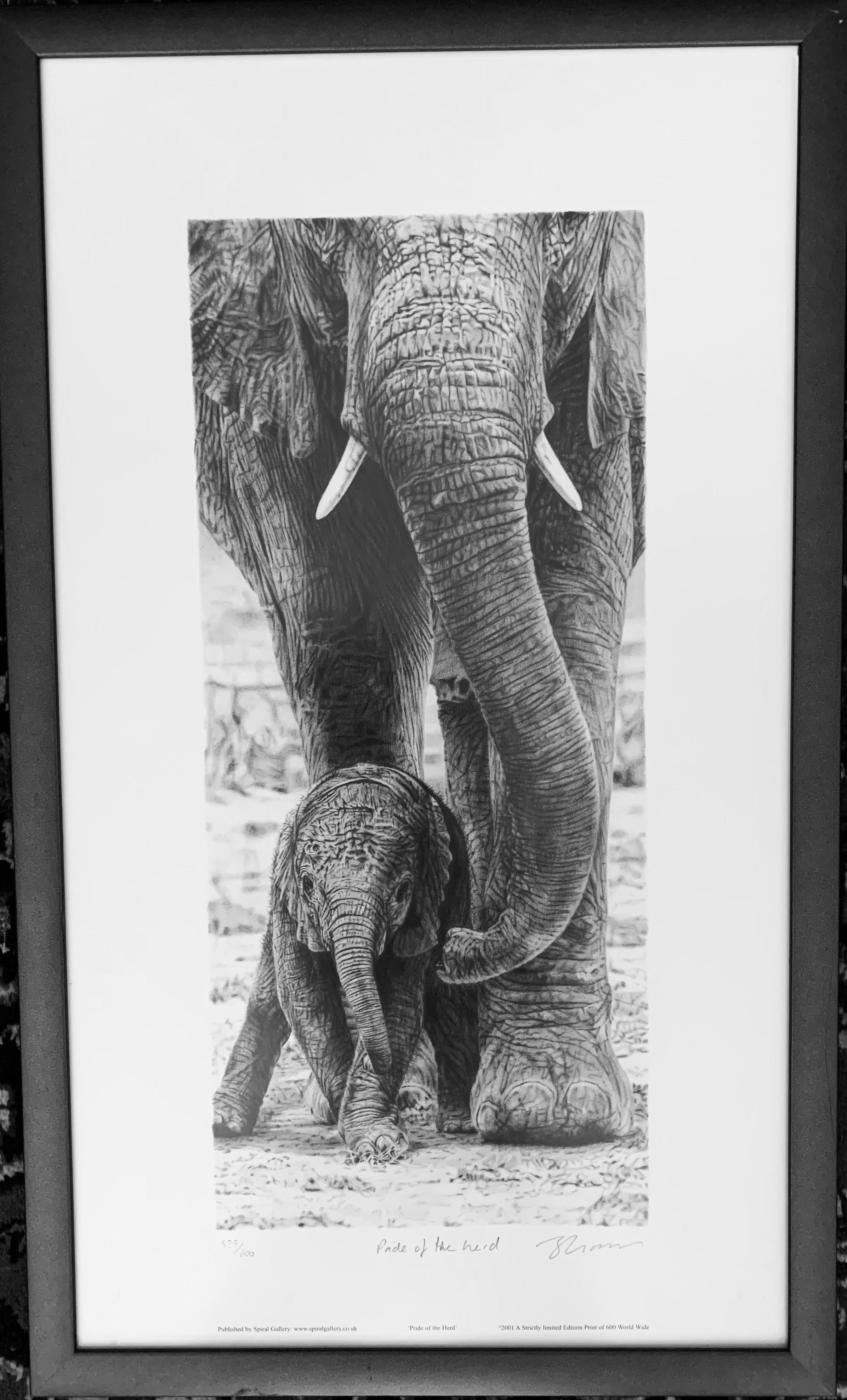 African Elephant 'Pride of the Herd' Limited Edition Framed Print 529/600 - Art by Leon Evans