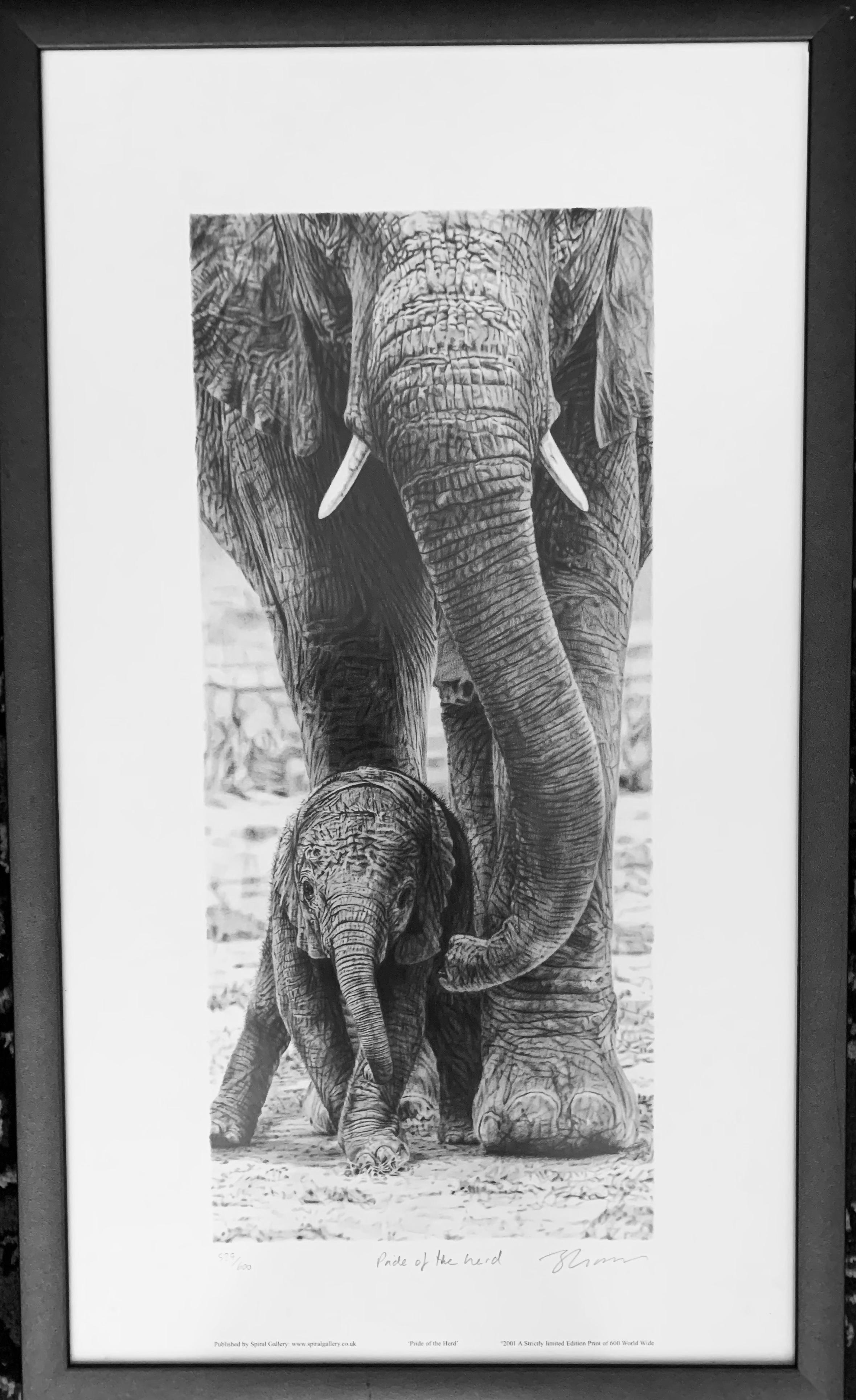 the herd print