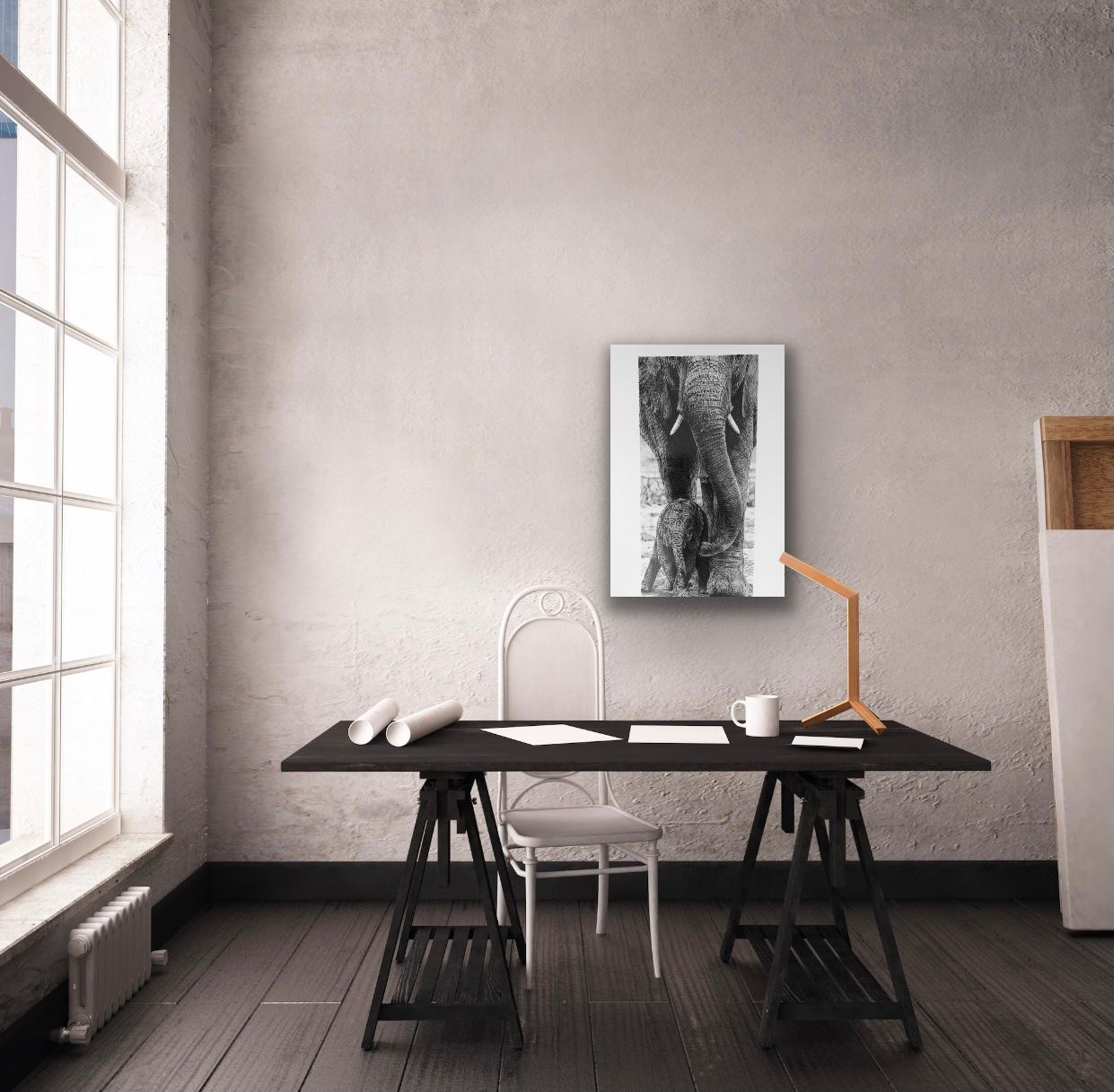 LIMITED EDITION 2003 African elephant 'Pride of the Herd'  Edition 529/600 graphite pencil sketch print.
Leon Evans is a talented artist who draws graphite pencil animal portraits including challenging wildlife subjects such as elephants and