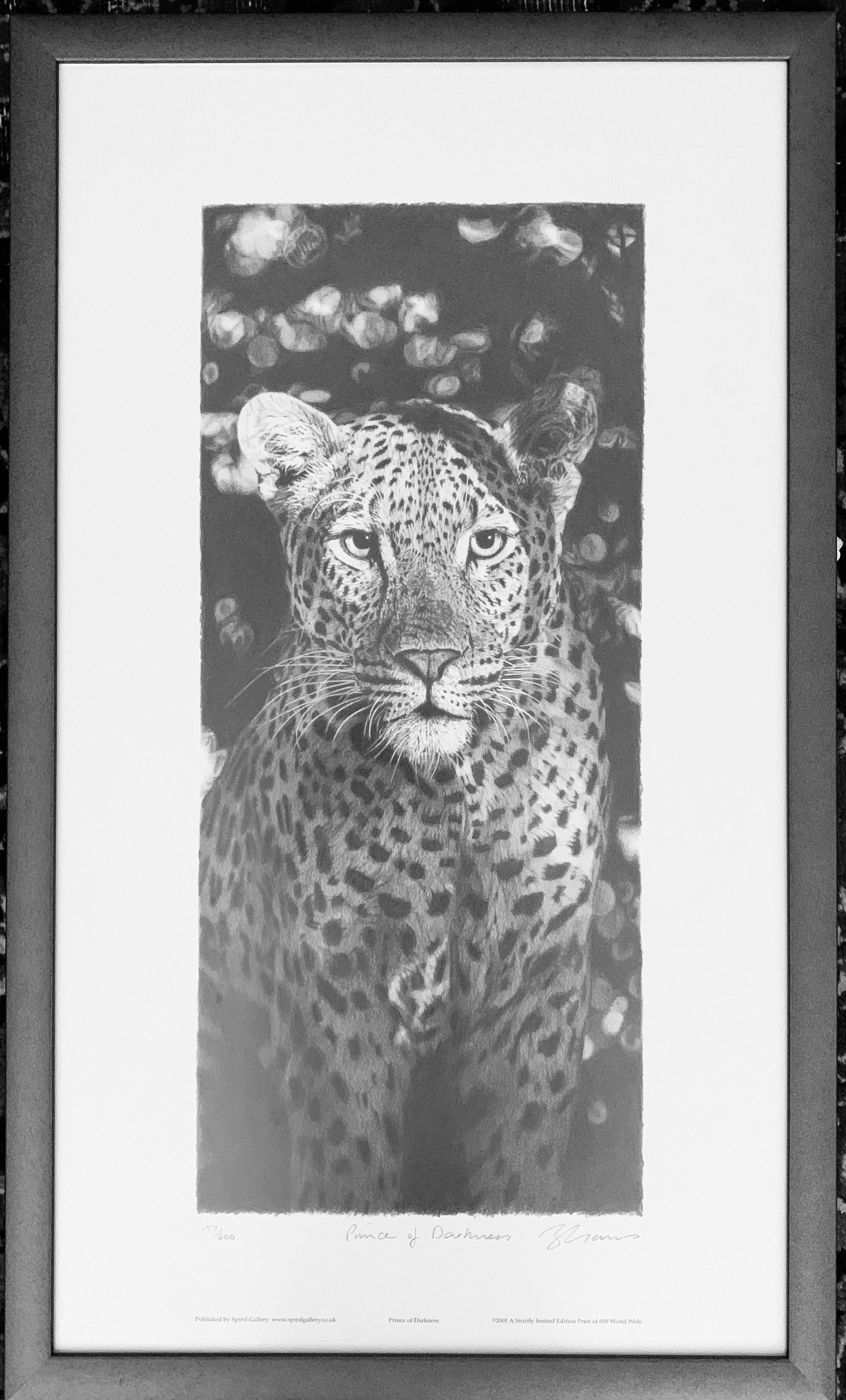 Leopard 'Prince of Darkness' Limited Edition Framed Print 197/600 - Art by Leon Evans