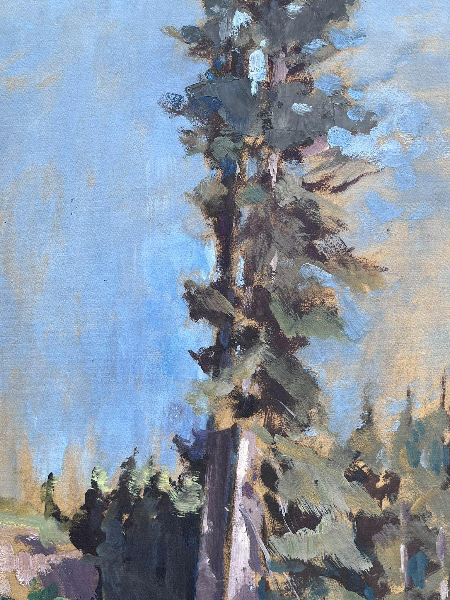 Vintage French Oil Painting Tall Sequoias Tree In Blue Skies  For Sale 2