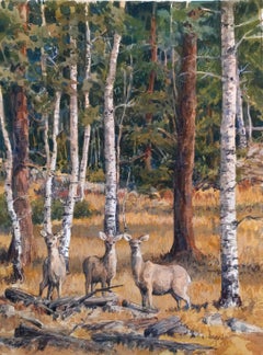 Close Encounters (contemporary forest landscape of deer & evergreens)
