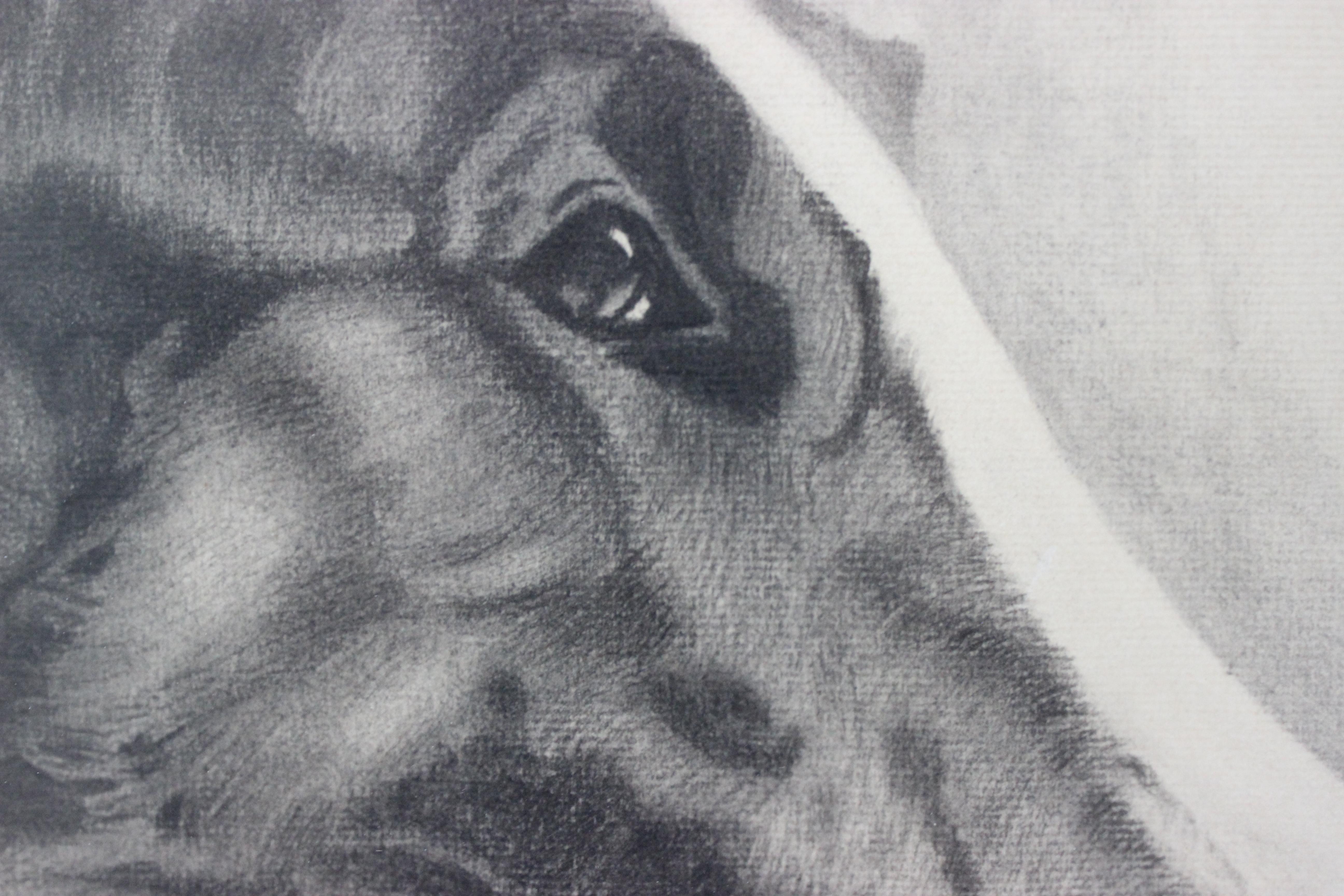 Mid-20th Century Leon Mazurowski Borzoi Dogs Graphite and Charcoal Drawing on Paper For Sale
