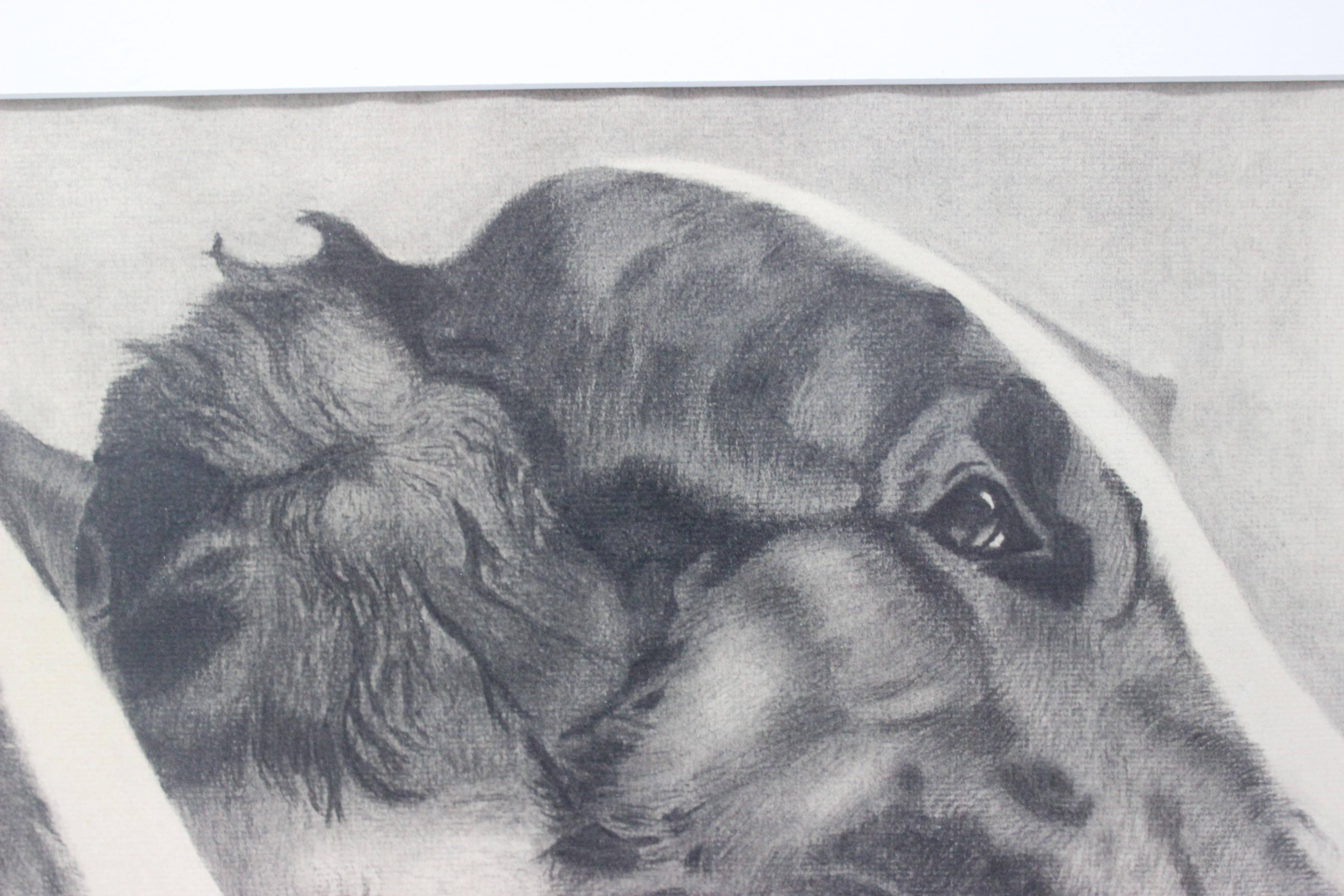 charcoal drawings of dogs