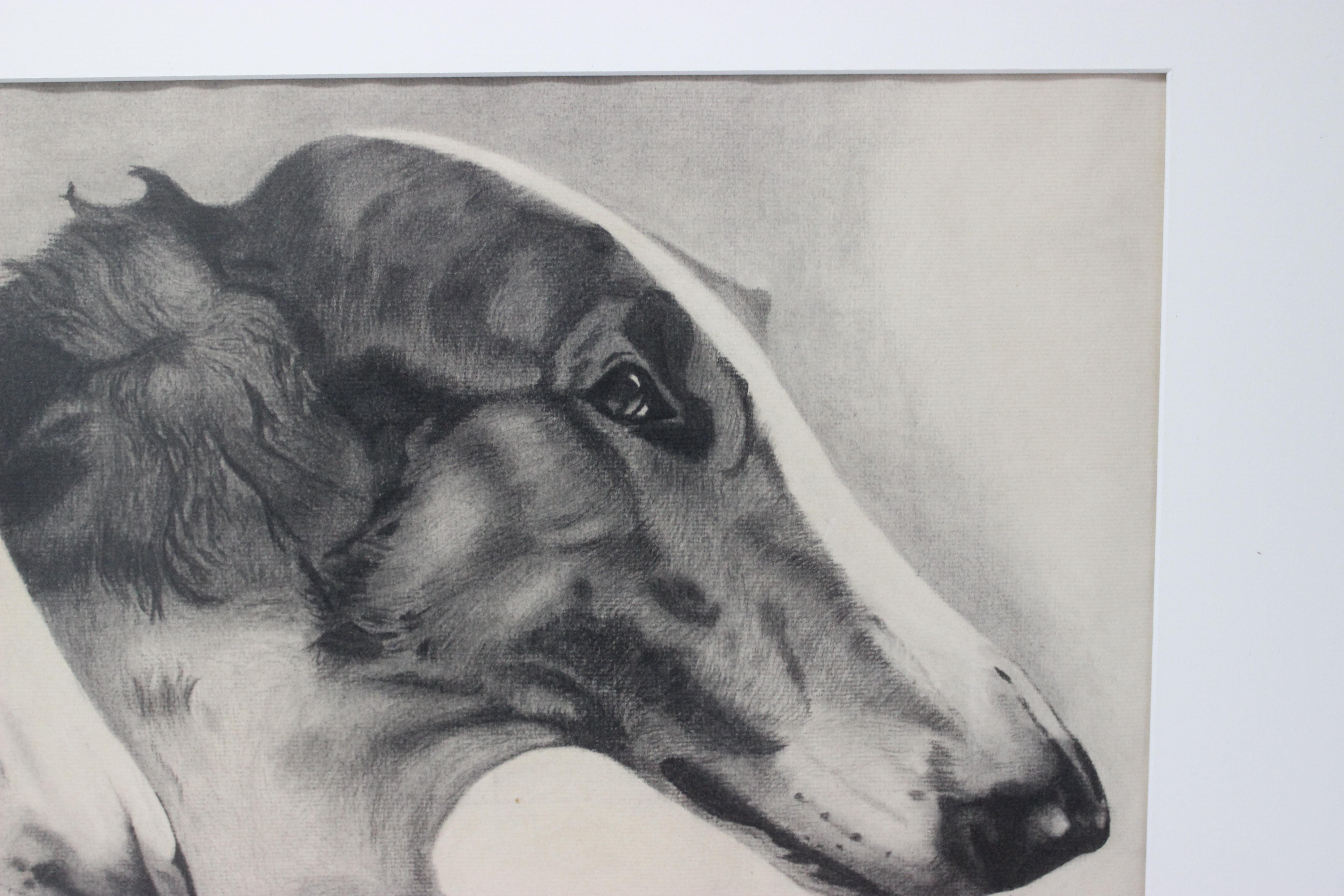 American Classical Leon Mazurowski Borzoi Dogs Graphite and Charcoal Drawing on Paper For Sale