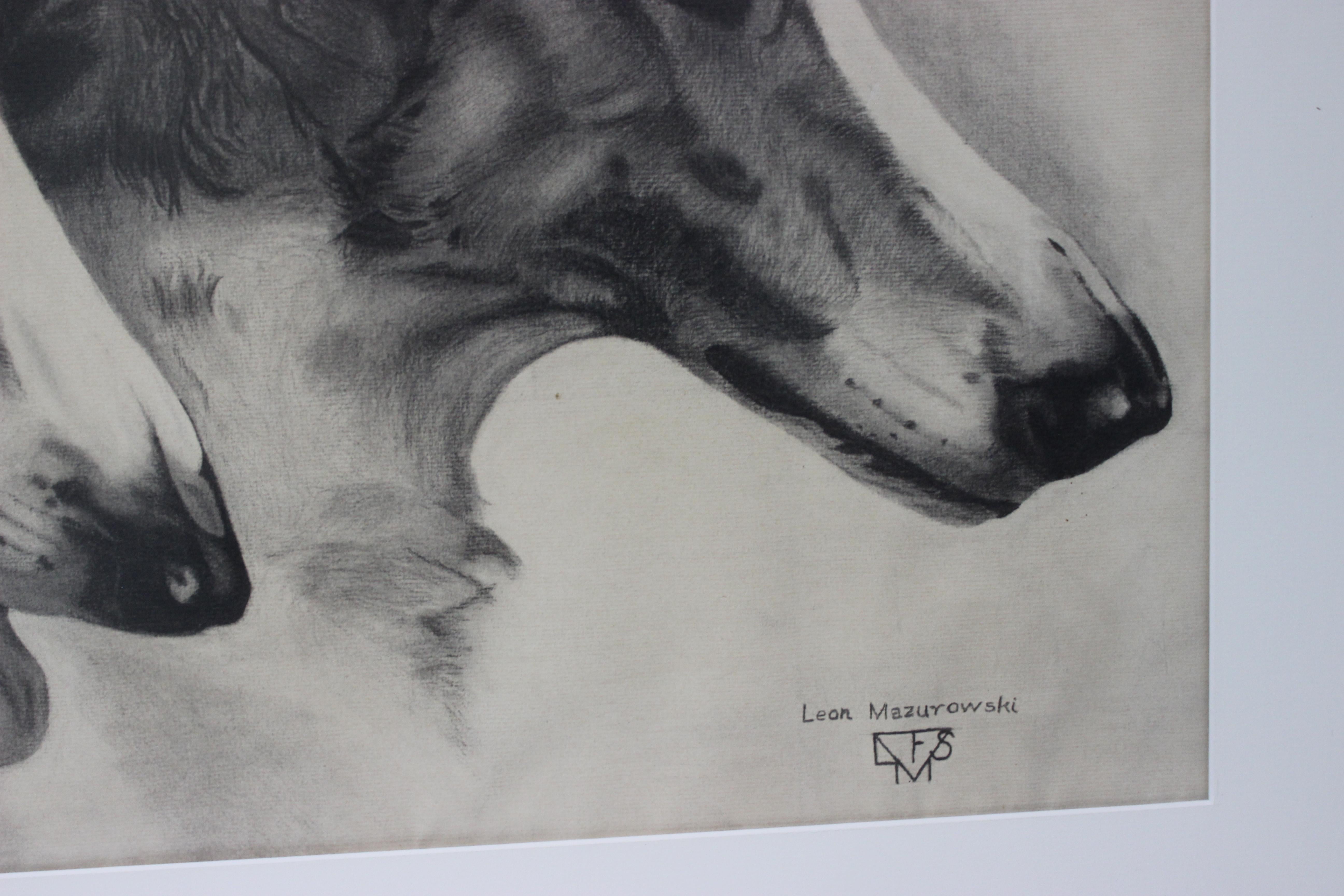 Leon Mazurowski Borzoi Dogs Graphite and Charcoal Drawing on Paper In Good Condition For Sale In West Palm Beach, FL