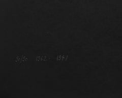 Werkubersicht/Work-Overview F, serigrafia di grandi dimensioni di Leon Polk-Smith