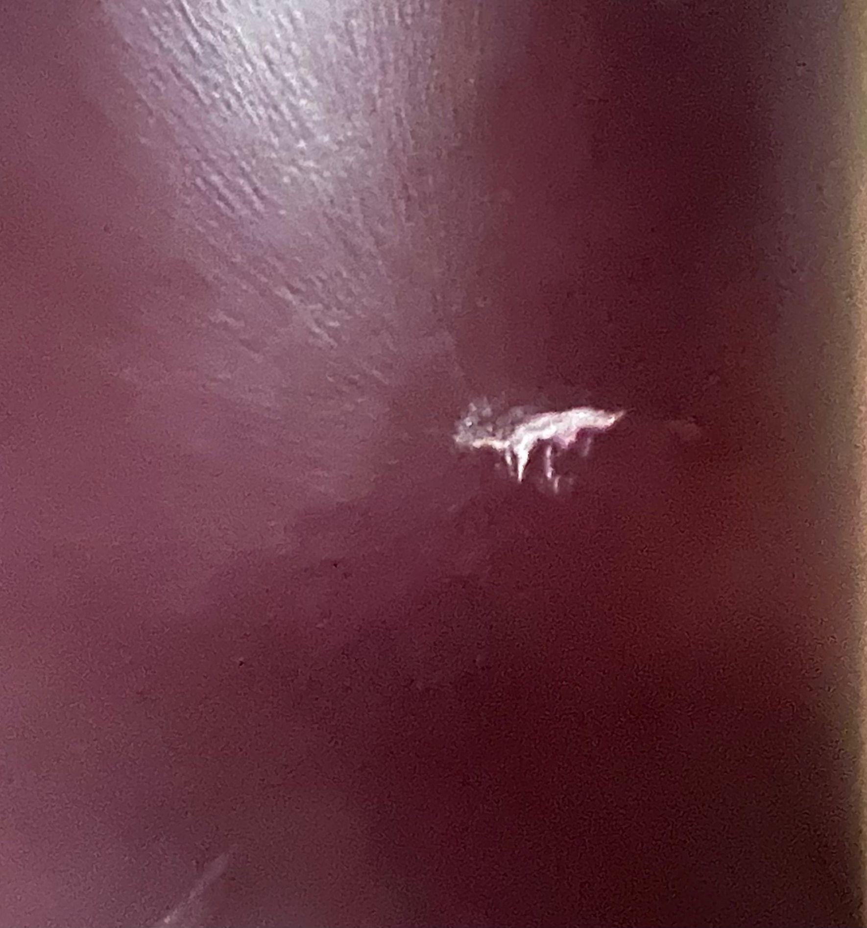 Leon Rosen For PACE Swivel Lounge Chairs, 1970 im Angebot 2