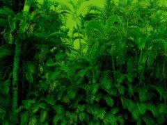 Green Hawaii, Photograph, Archival Ink Jet