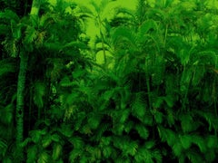 Green Hawaii, Photograph, Archival Ink Jet