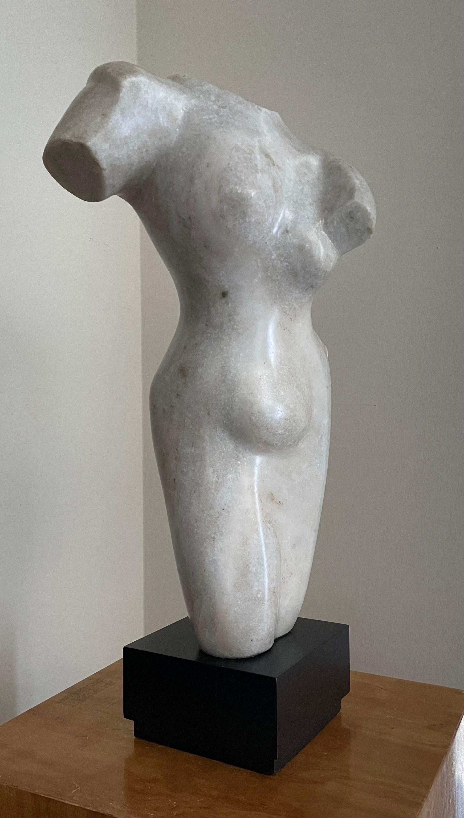 Torse féminin - Sculpture de Leon Saulter