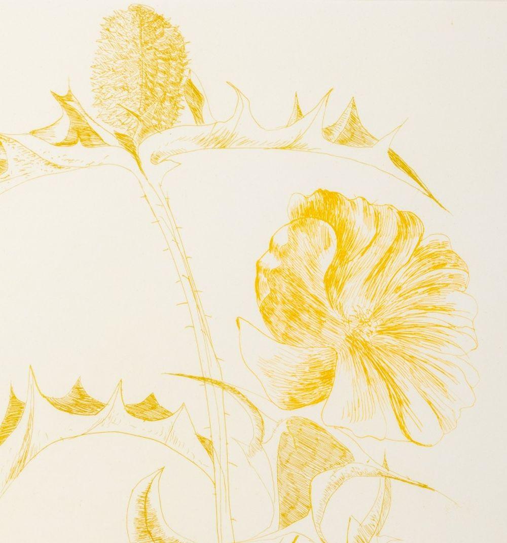 Botanical Scenes, 2 - Contemporary Print by Leonard Baskin