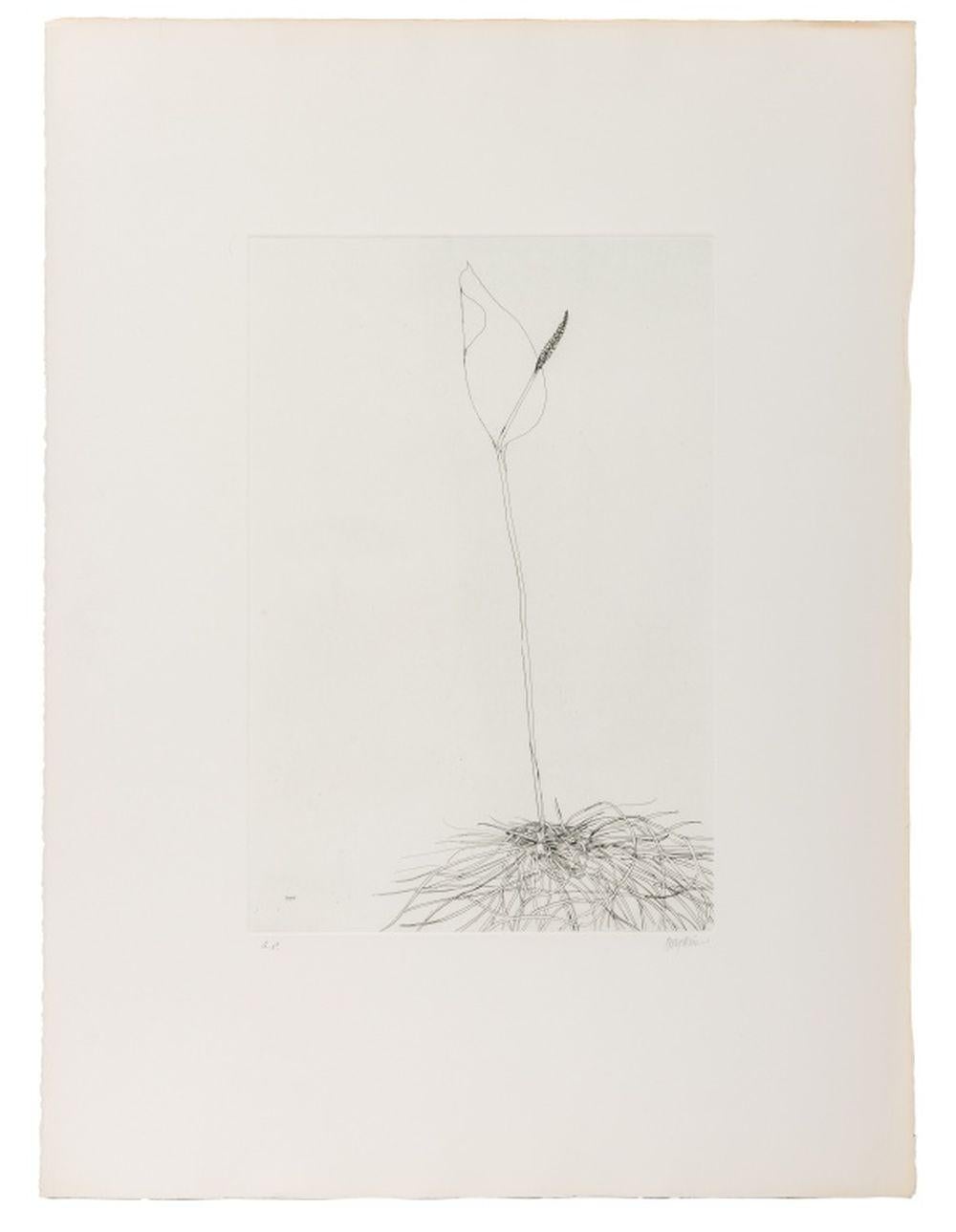 Botanical Scenes, 2 For Sale 2