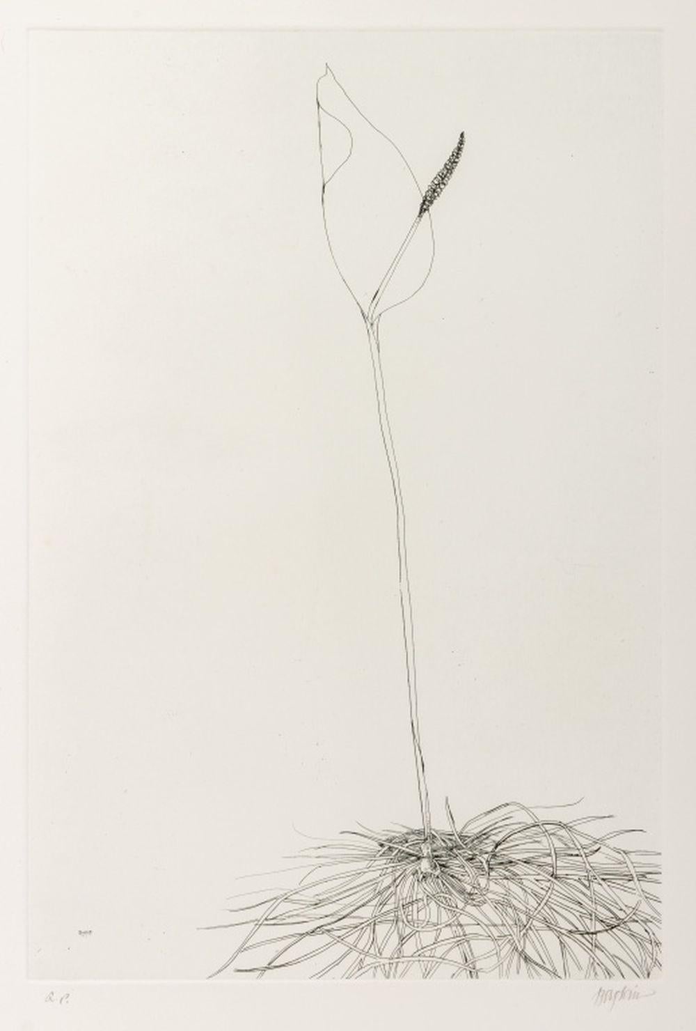 Botanical Scenes, 2 For Sale 3