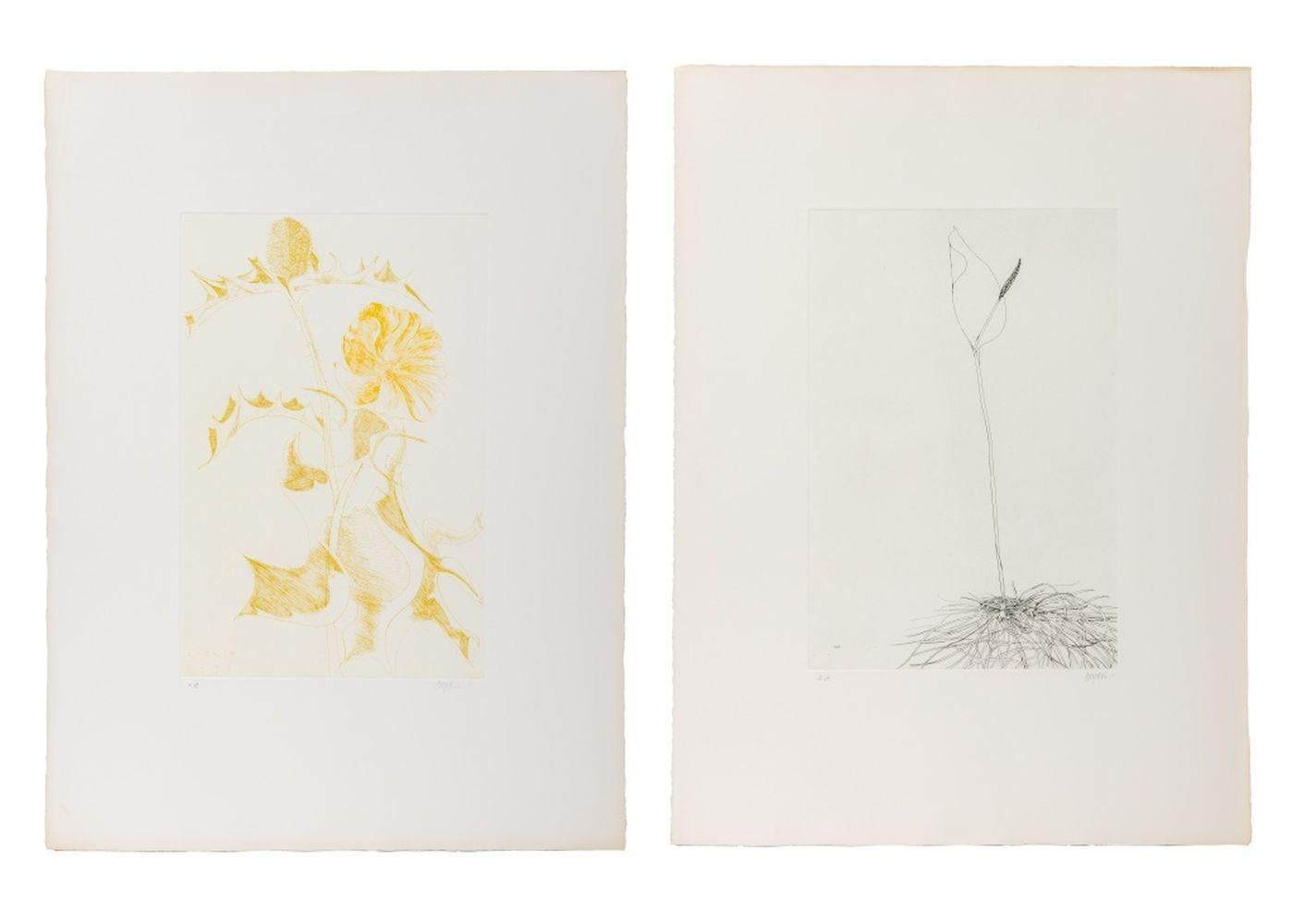 Leonard Baskin Abstract Print - Botanical Scenes, 2