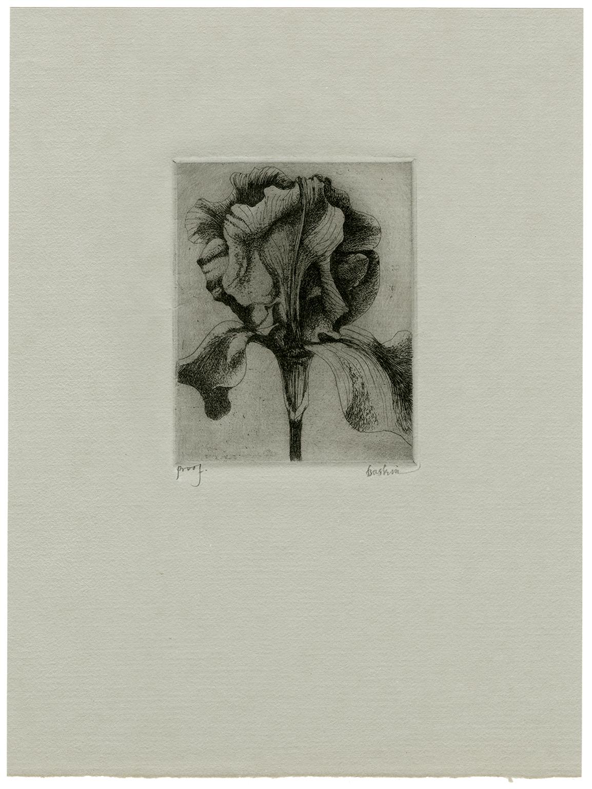 Iris ( 1 ) - Print by Leonard Baskin