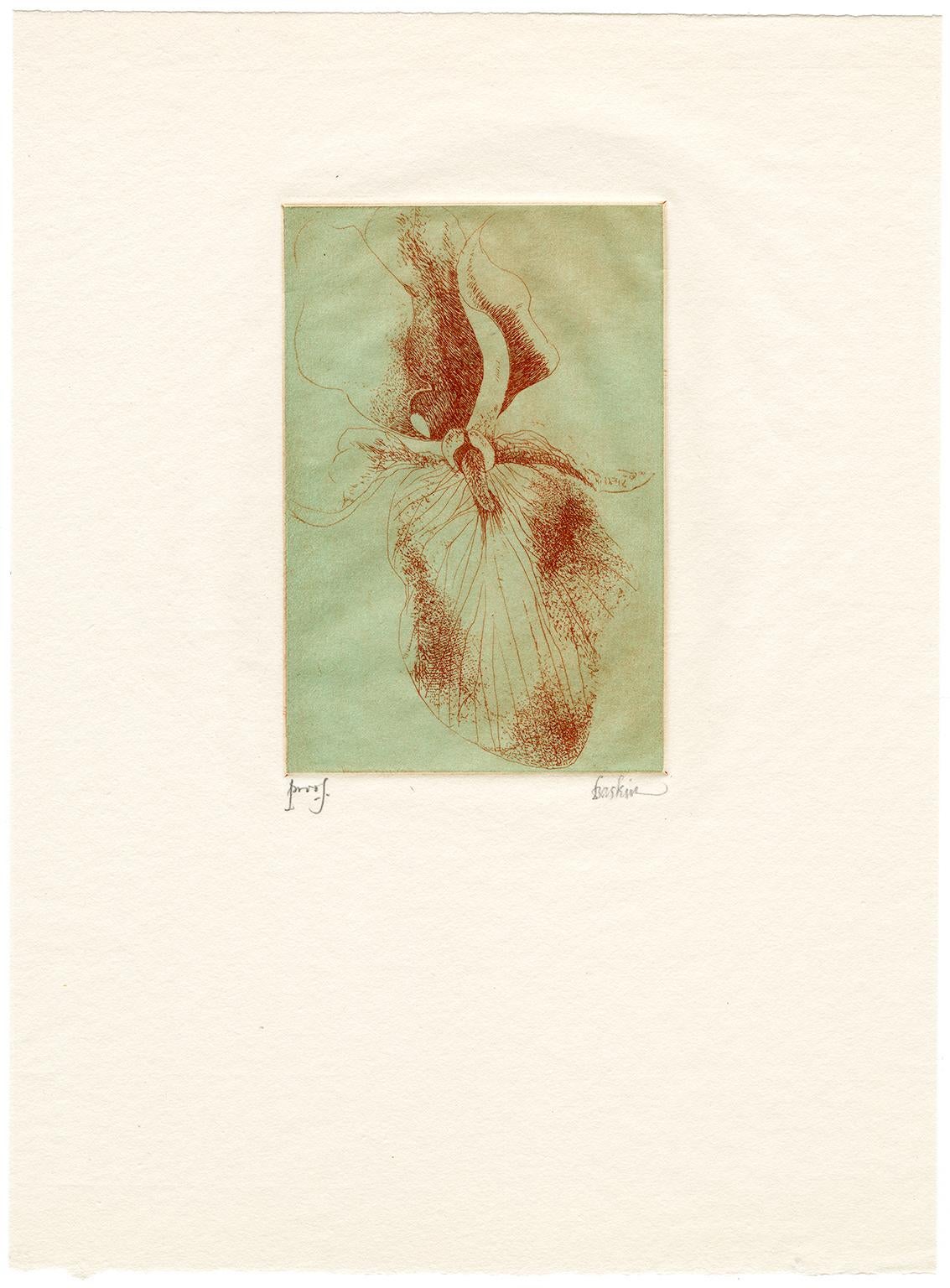 Iris (2) - Print by Leonard Baskin