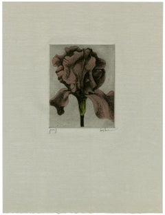 Iris (3)