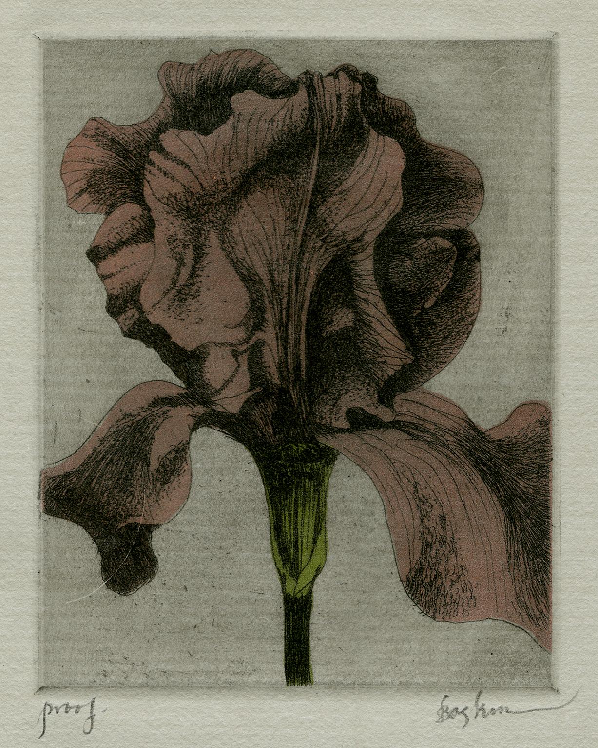 Leonard Baskin Figurative Print - Iris (3)