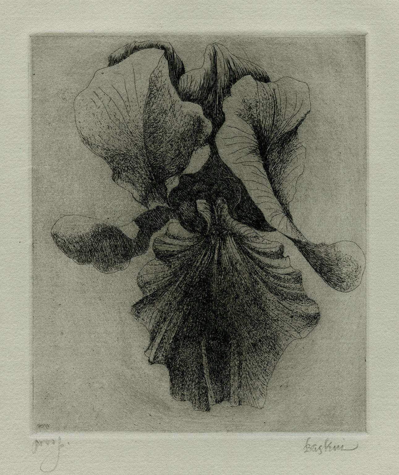 Leonard Baskin Figurative Print - Iris (4)