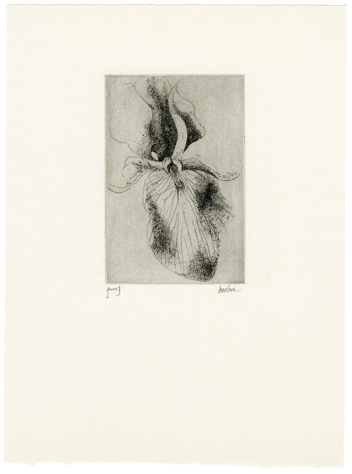 Iris (5) - Print by Leonard Baskin