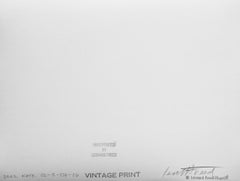 Female Nude, Portfolio von fünf Schwarz-Weiß-Fotografien aus der Kate-Serie