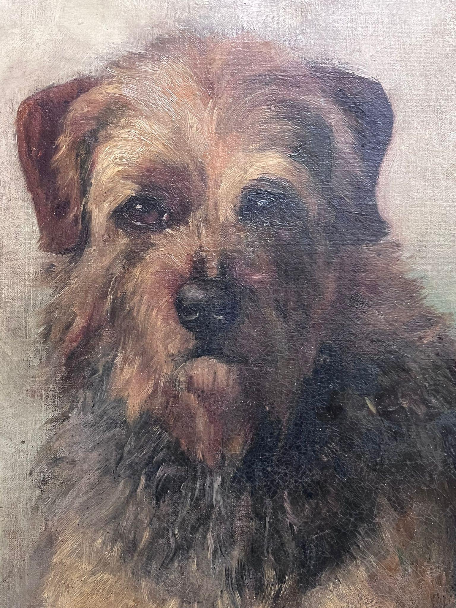 Antique English Dog Painting Portrait of Border Terrier framed oil painting For Sale 2