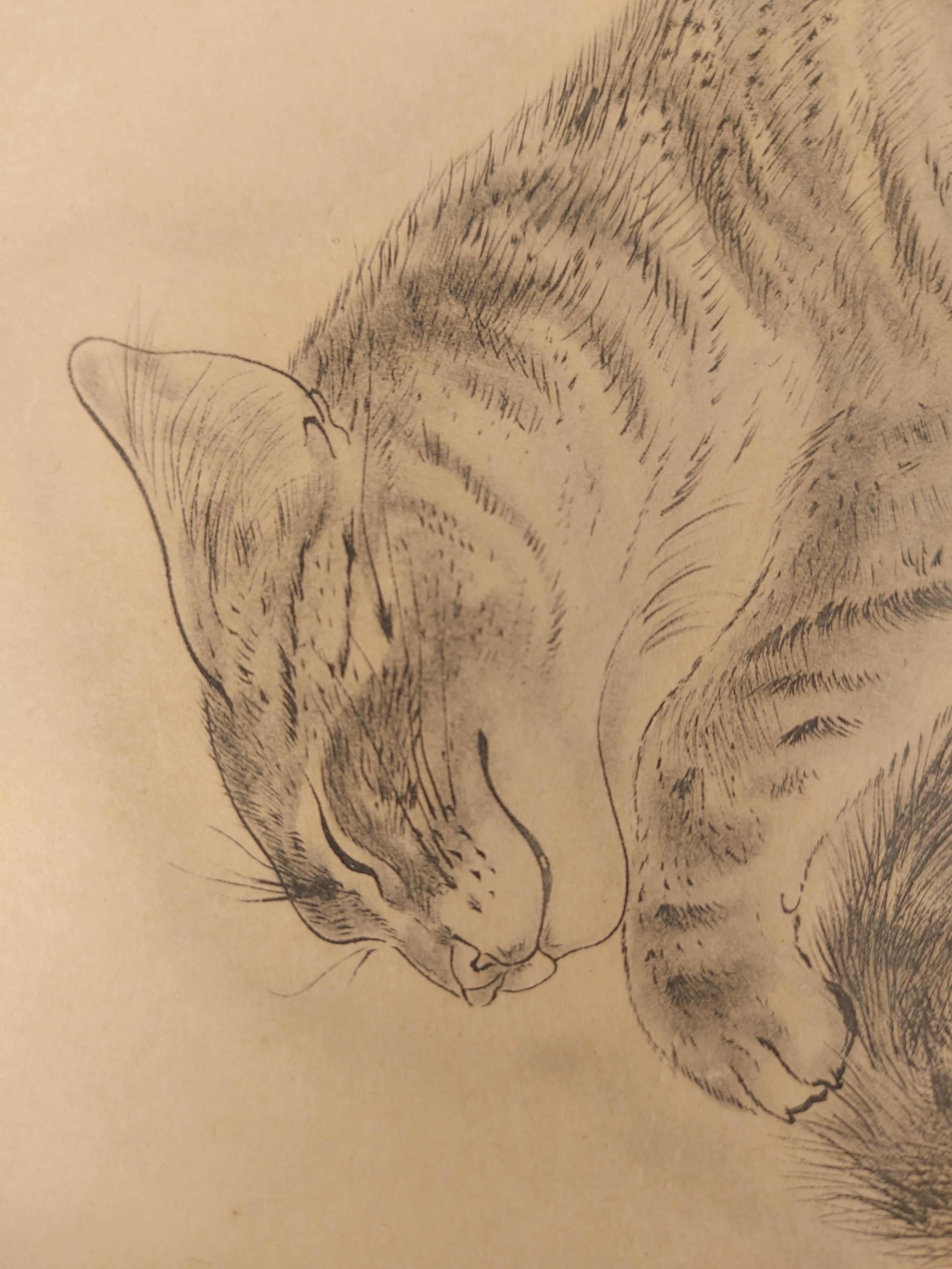 Sleeping Cat – Original-Radierung, 1930 (Buisson #29-159) – Print von Leonard Tsuguharu Foujita
