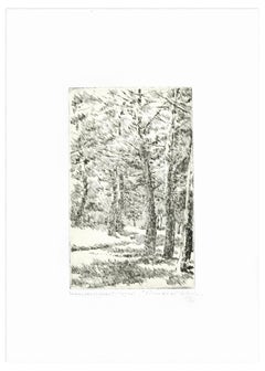 Pine Forest - Original Etching by Leonardo Castellani - 1970s