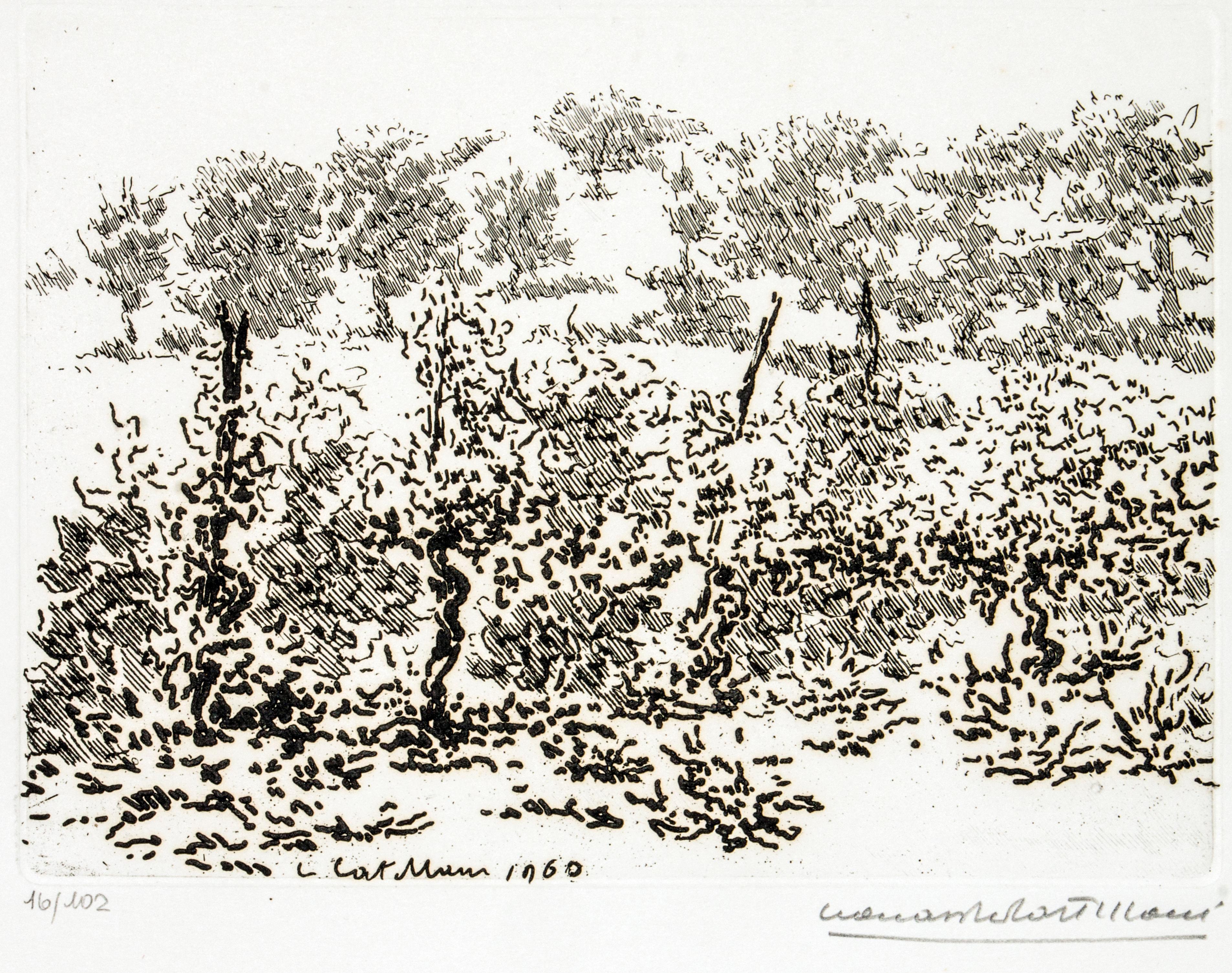 The Vineyard - Etching by Leonardo Castellani - 1960