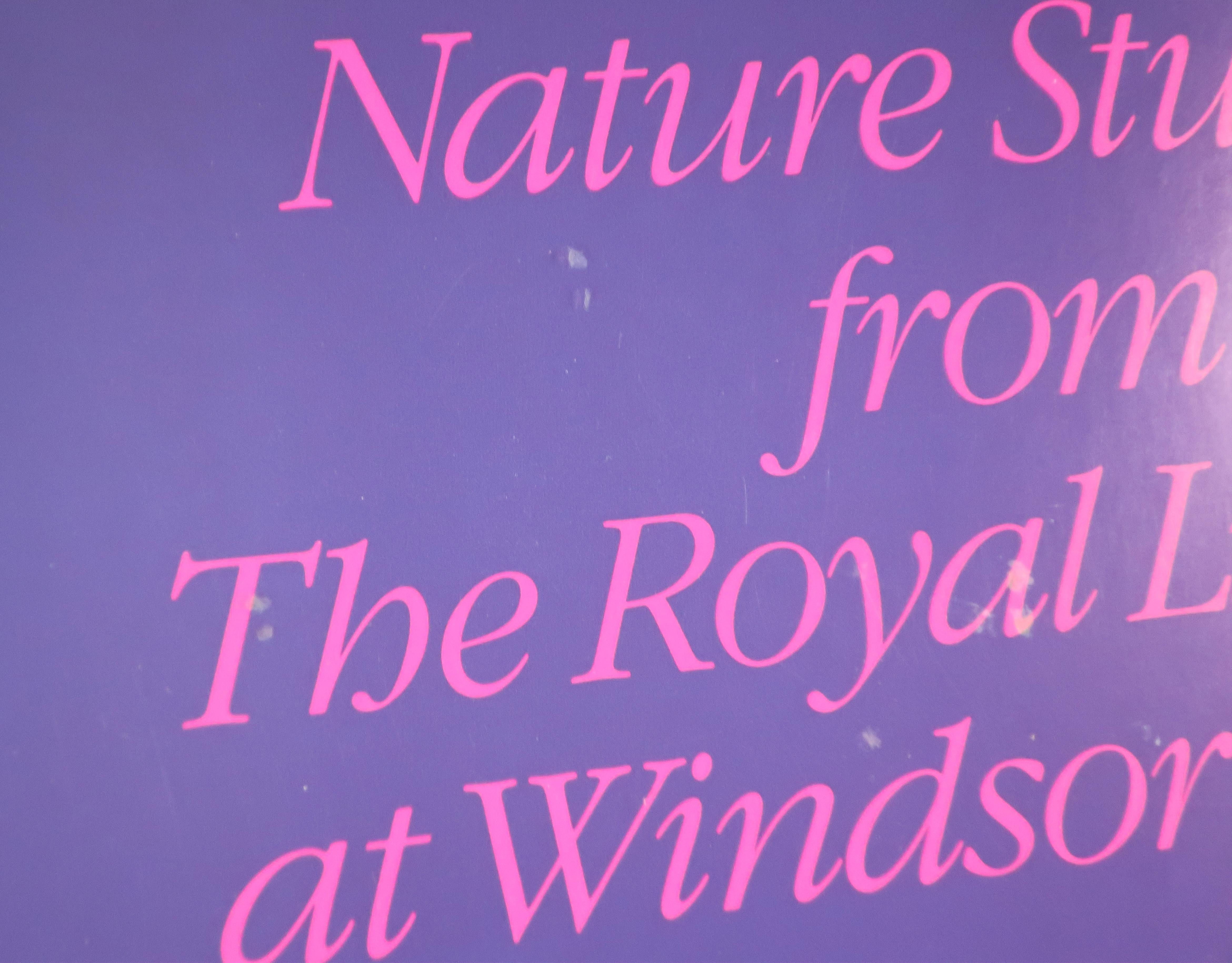 Nature Studies aus der Königlichen Bibliothek von Windsor Castle im Angebot 2