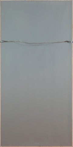 Studi sulla natura dalla Biblioteca Reale del Castello di Windsor