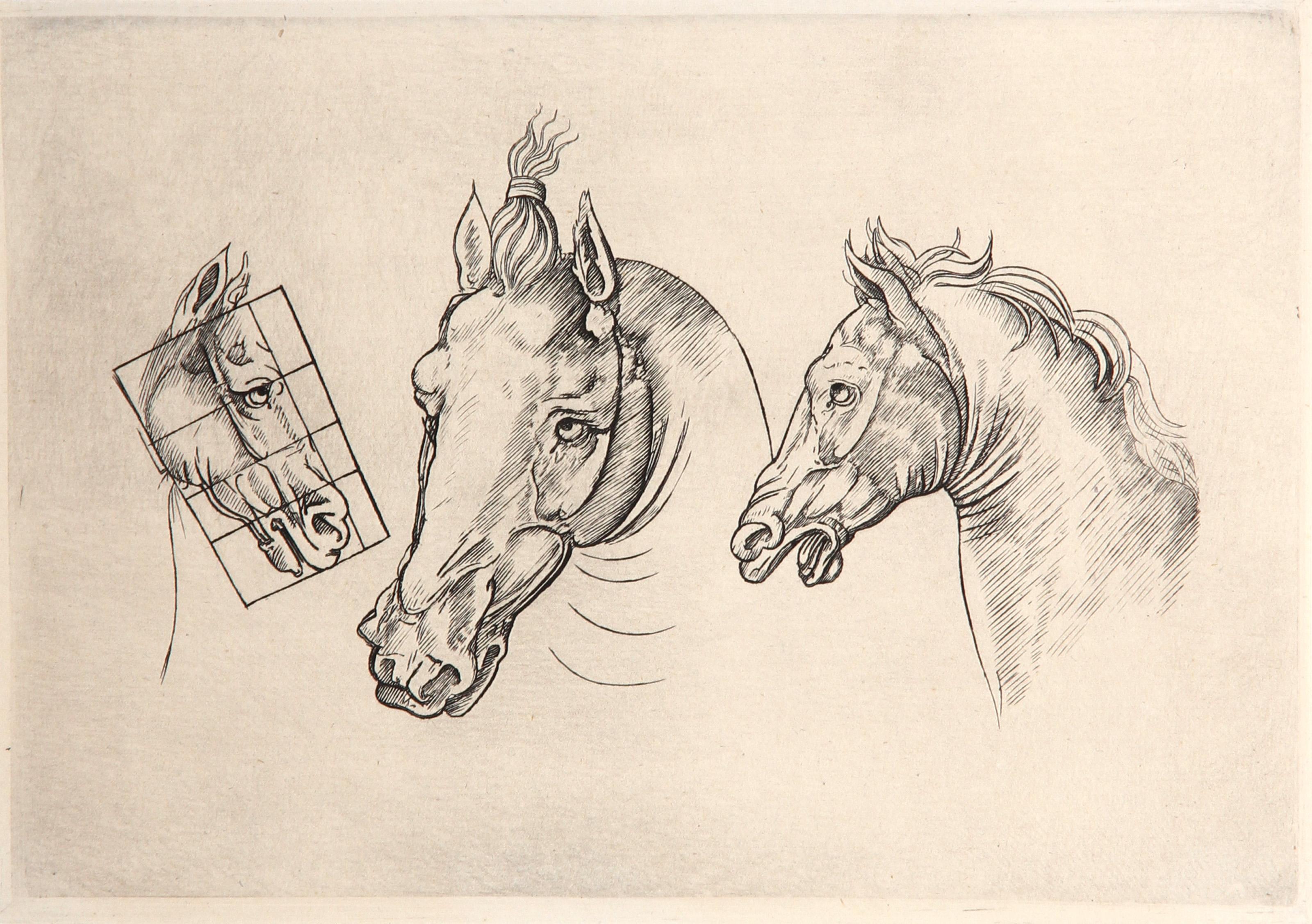  Leonardo da Vinci, Dopo Amand Durand, Italiano (1452 - 1519) - Trois Tetes de Chevaux, Anno: circa 1878, Medium: Heliogravure, Dimensioni: 6  x 8.5 in. (15.24  x 21,59 cm), Stampatore: Amand Durand, Descrizione: L'incisore e pittore francese