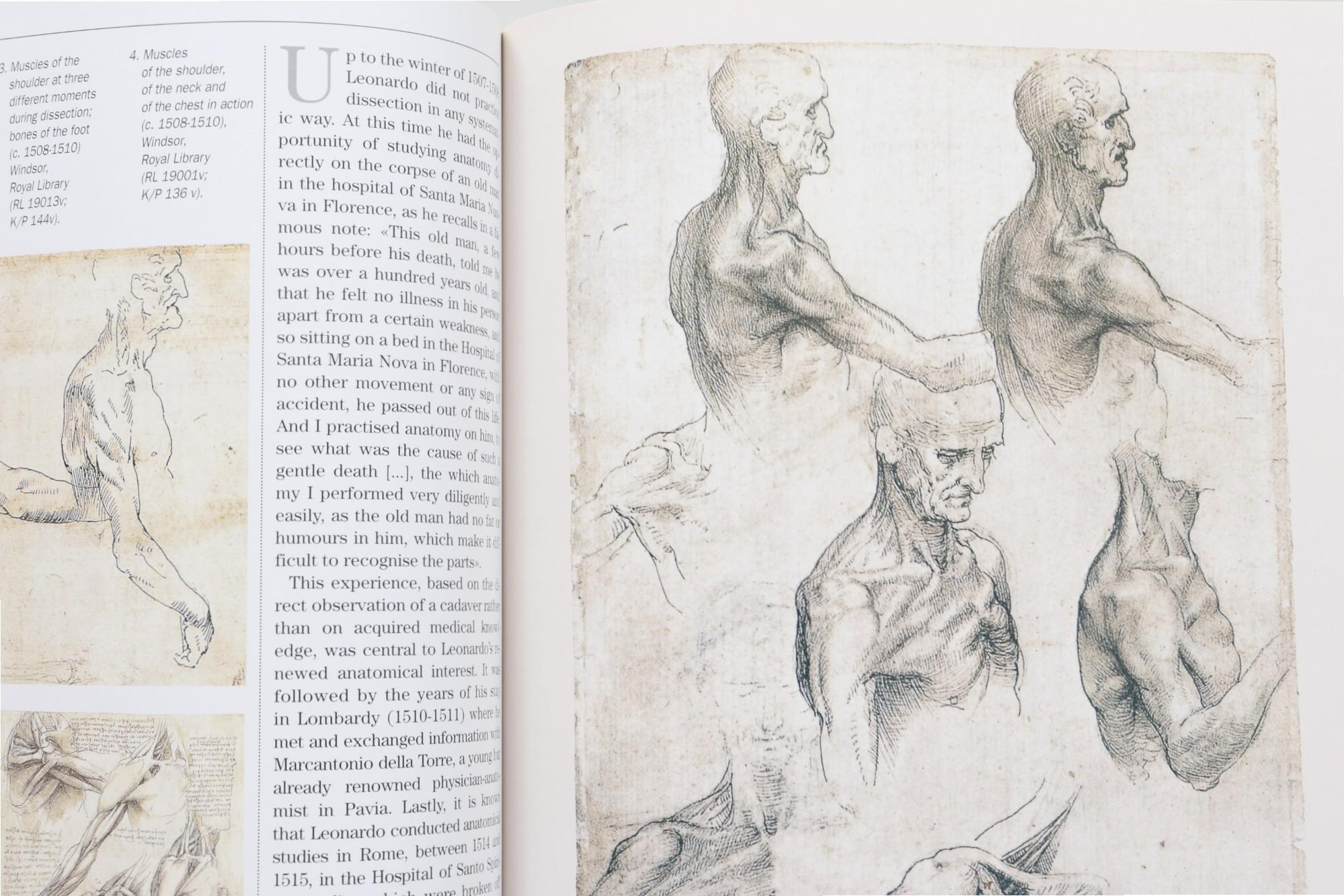 XXI secolo e contemporaneo Leonardo Da Vinci di Carlo Pedretti in vendita