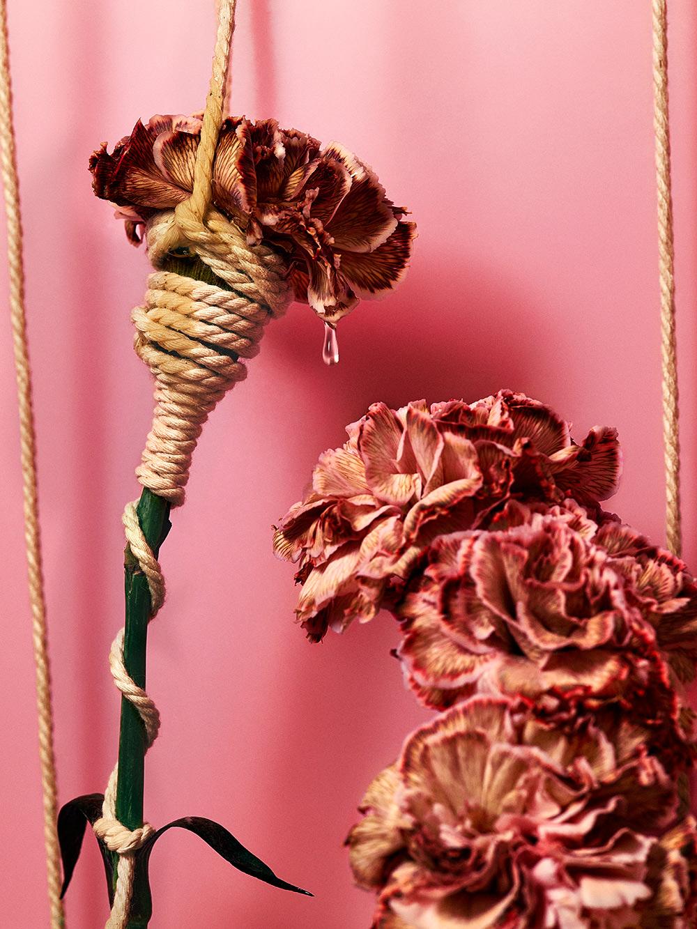 Leonardo Pucci Still-Life Photograph - Carnations 10:48AM, Paris