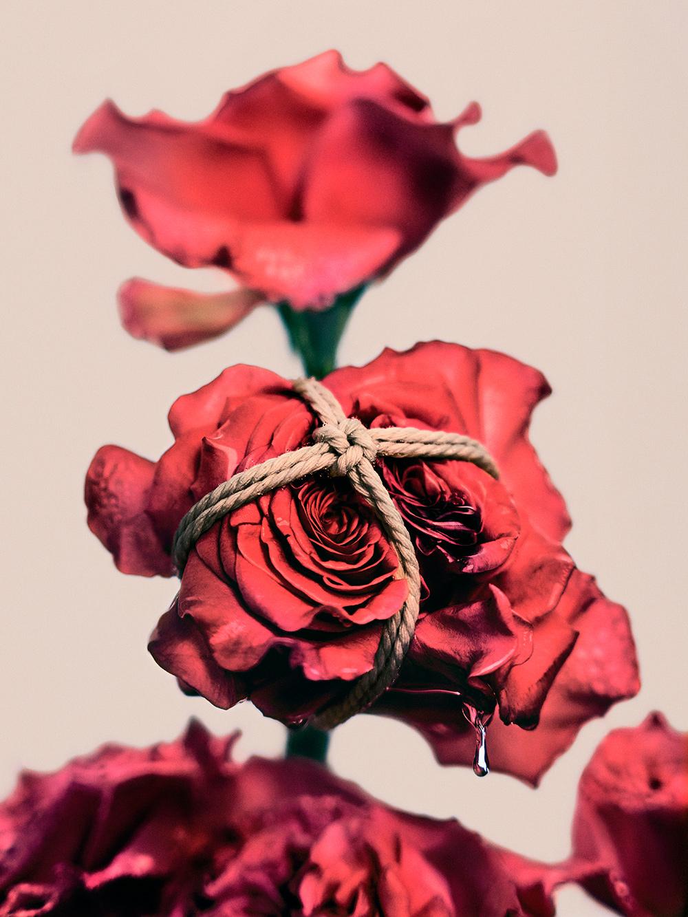 Leonardo Pucci Still-Life Photograph – Roses 1:18 Uhr, Paris