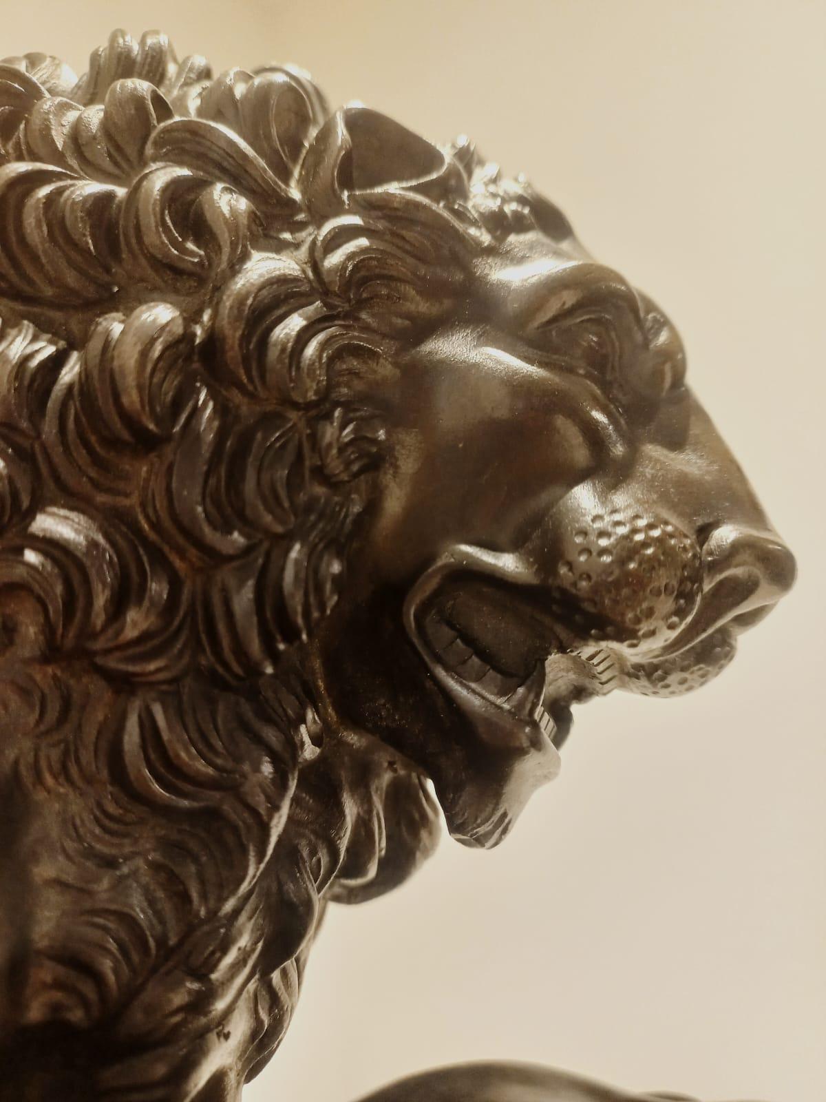 Lion avec patte sur boulet de canon en agate jaspe, bronze ciselé et bruni, 19e siècle, mesure 33x11 cm, hauteur 20 cm, le socle en bois ébonisé mesure 36x15 cm, hauteur 10 cm.
La sculpture représente le lion en marbre de la Loggia dei Lanzi sur la