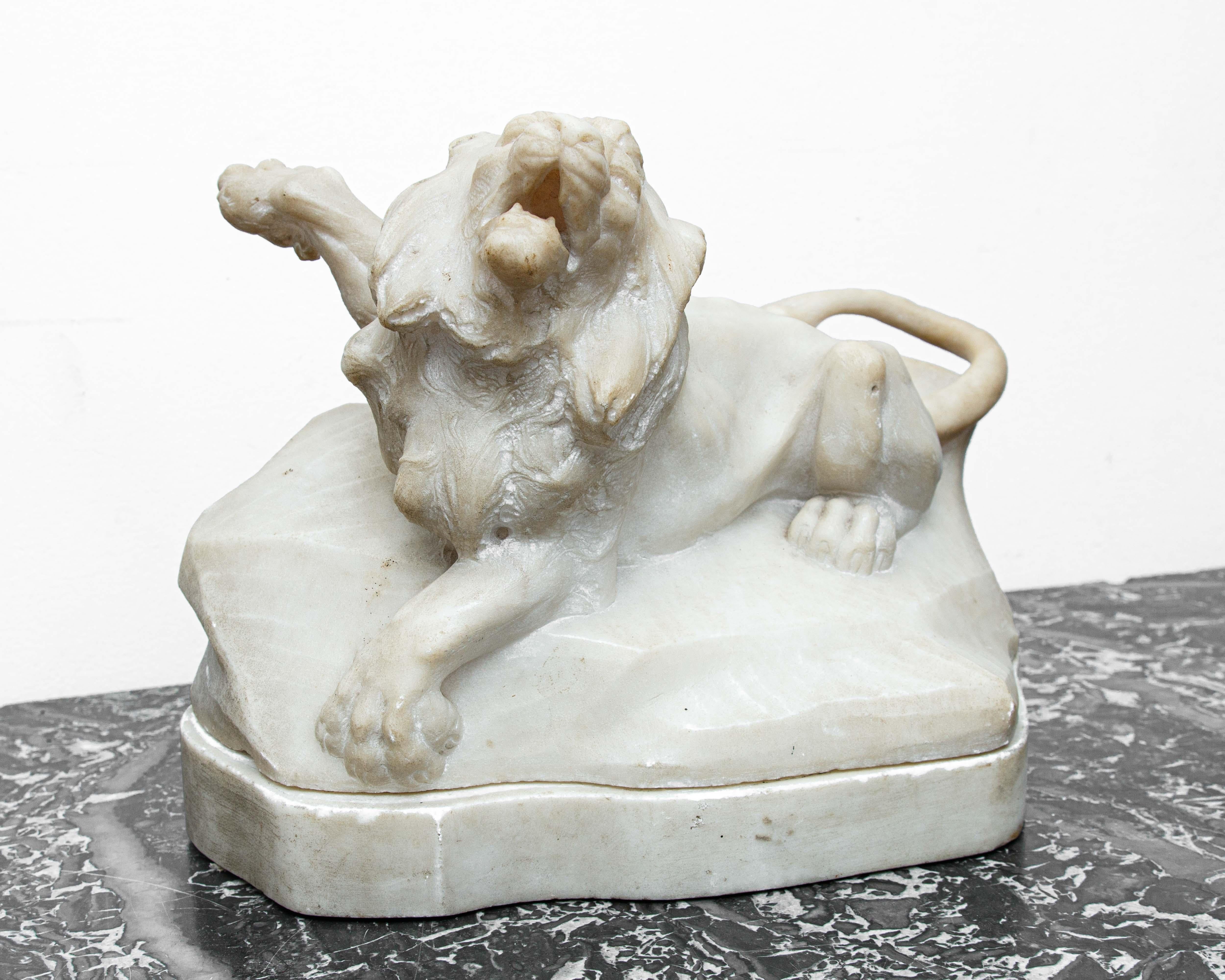 XVII Century

Lion

Marble, 30 x 43 x 25

The object under consideration is configured as a marble sculpture referable to the 17th century, characterized by a strong, visceral language, seeking effect and the attention of the observer: a poetics