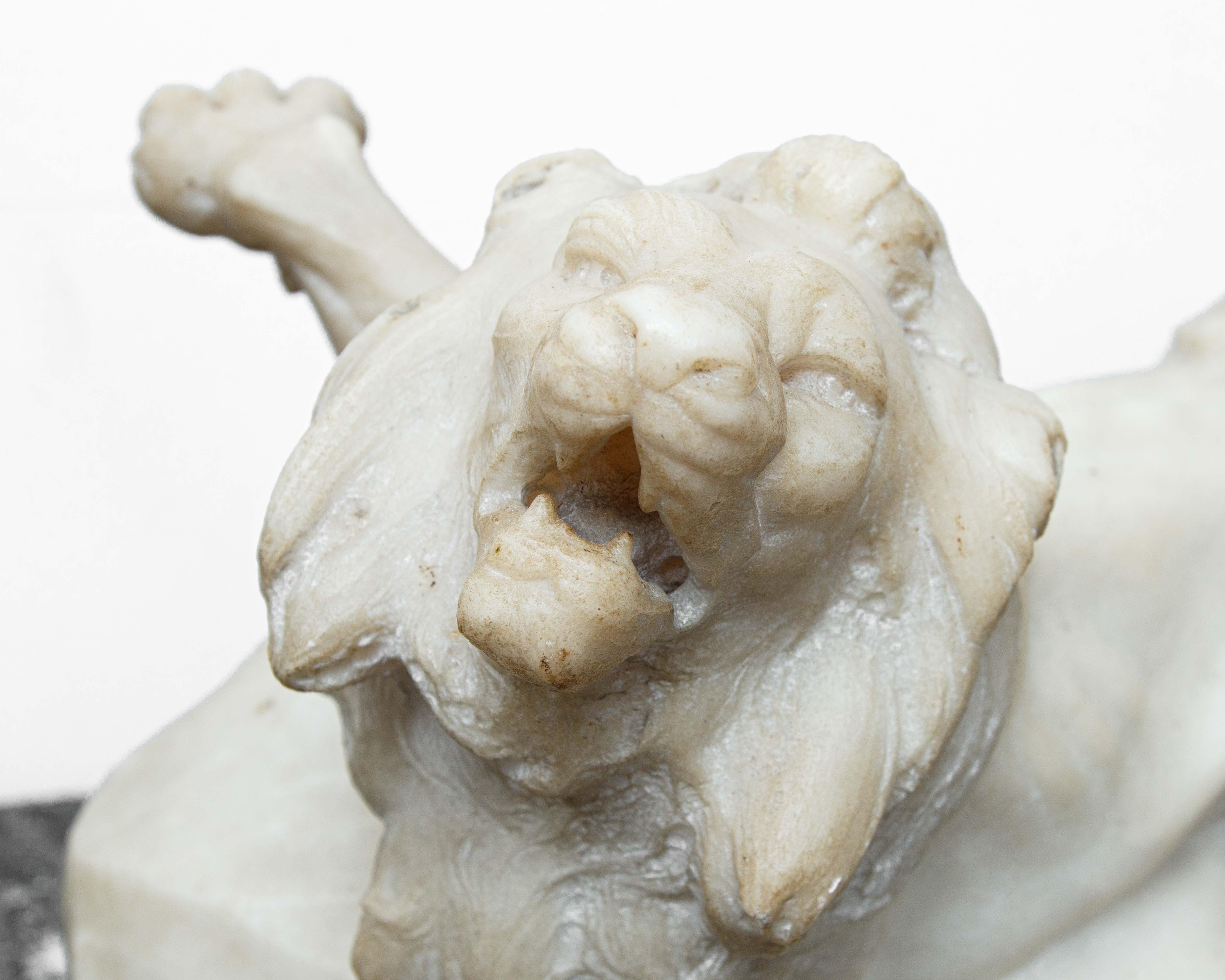 Italian Lion Marble sculpture from the 17th century For Sale