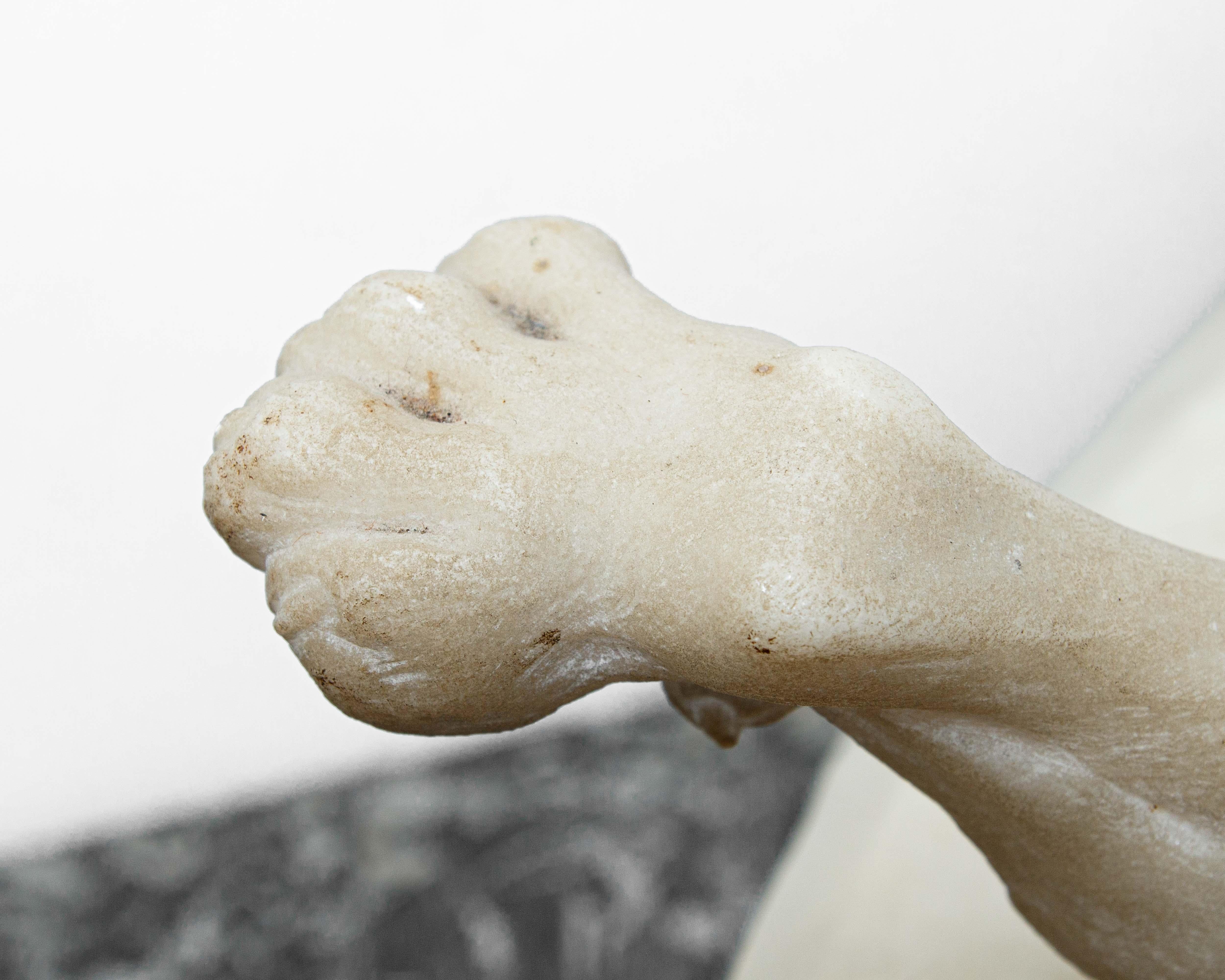 Lion Sculpture en marbre du 17e siècle en vente 2