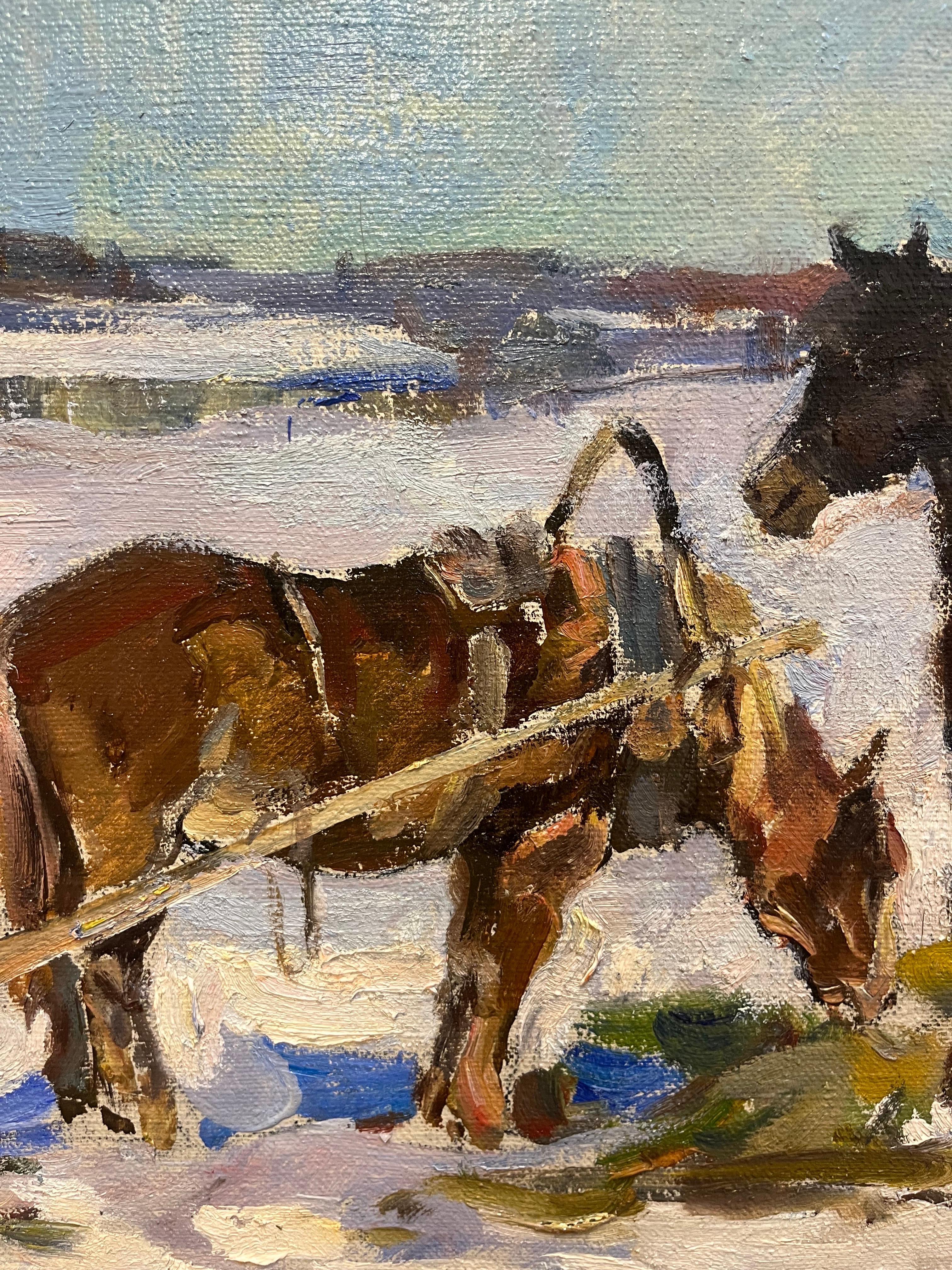 Cavalli,Inverno,Slitta,Neve
Luminosa scena invernali con Cavalli nella neve