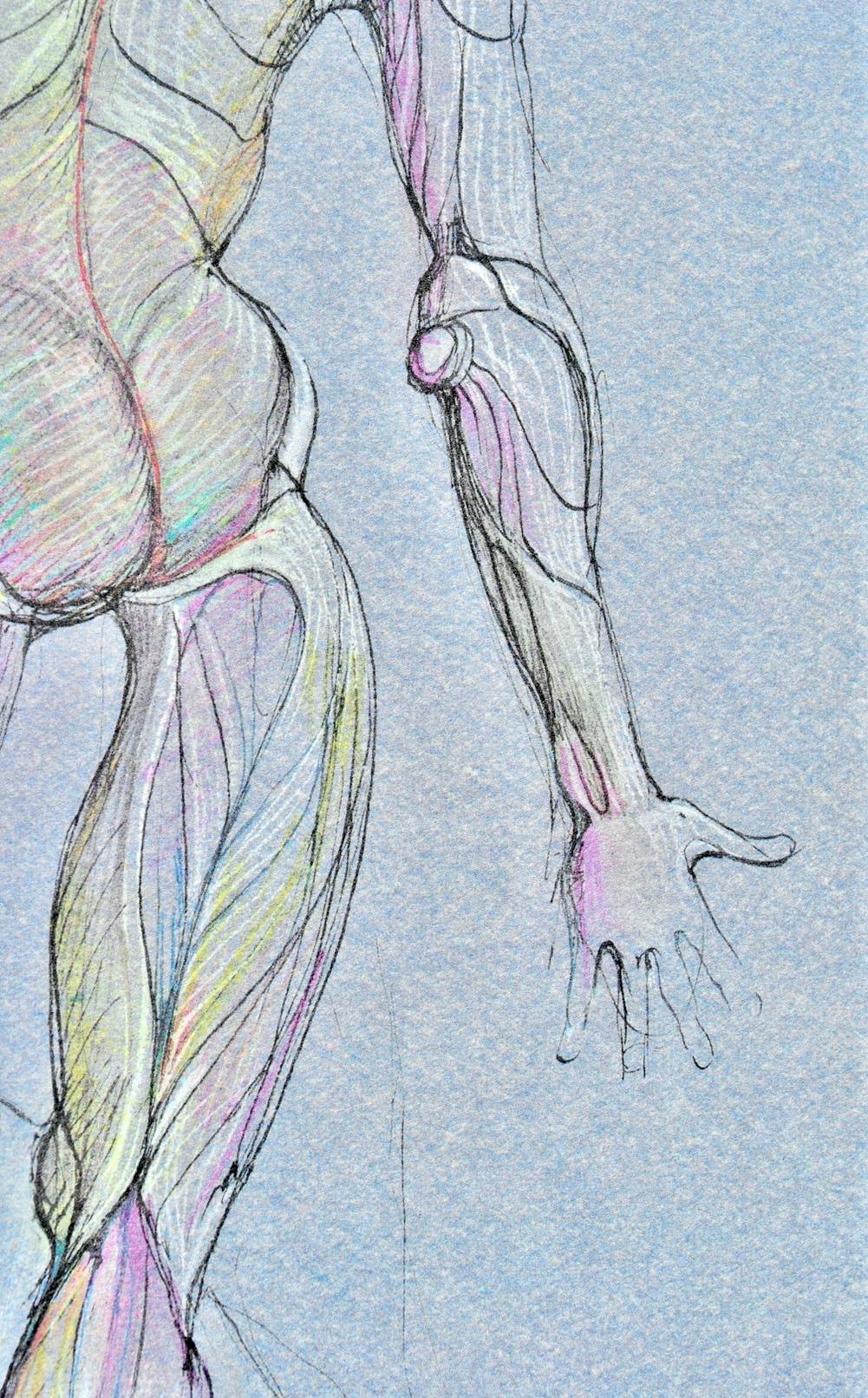 Fini, Composizione, Fruits de la Passion, XXe siècle (dopo) - Figurative Print Blu di Leonor Fini