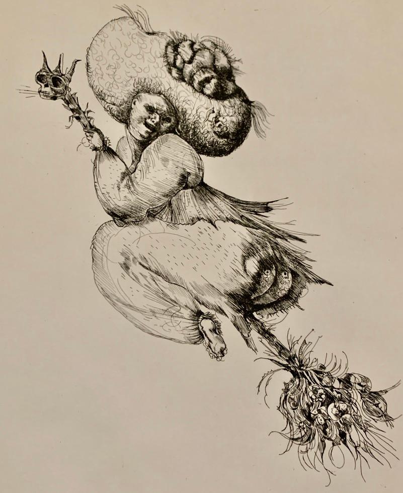 leonor fini drawings