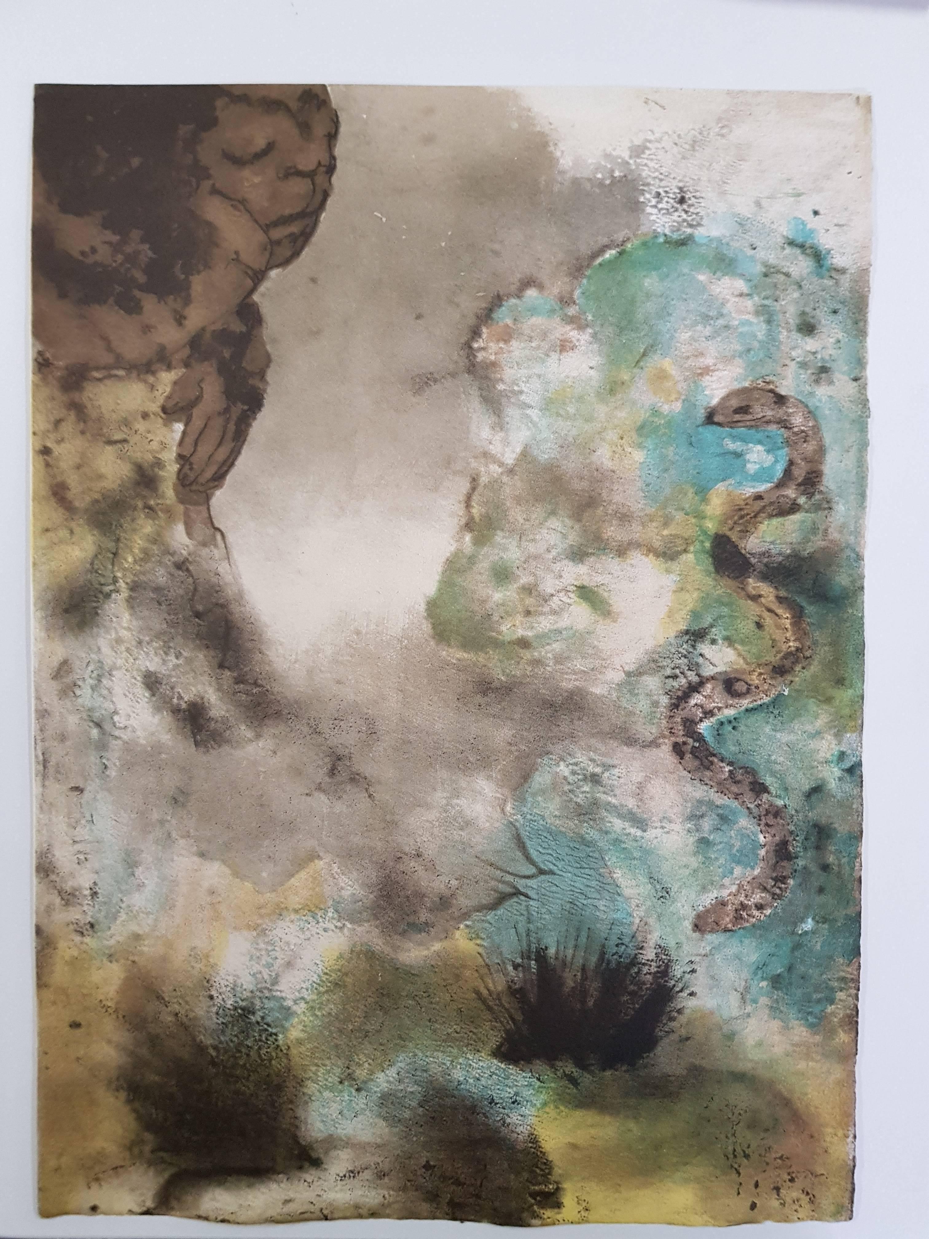 Leonor Fini - Shakespeare - The Tempest - Handsigned - 22 Lithographs 7