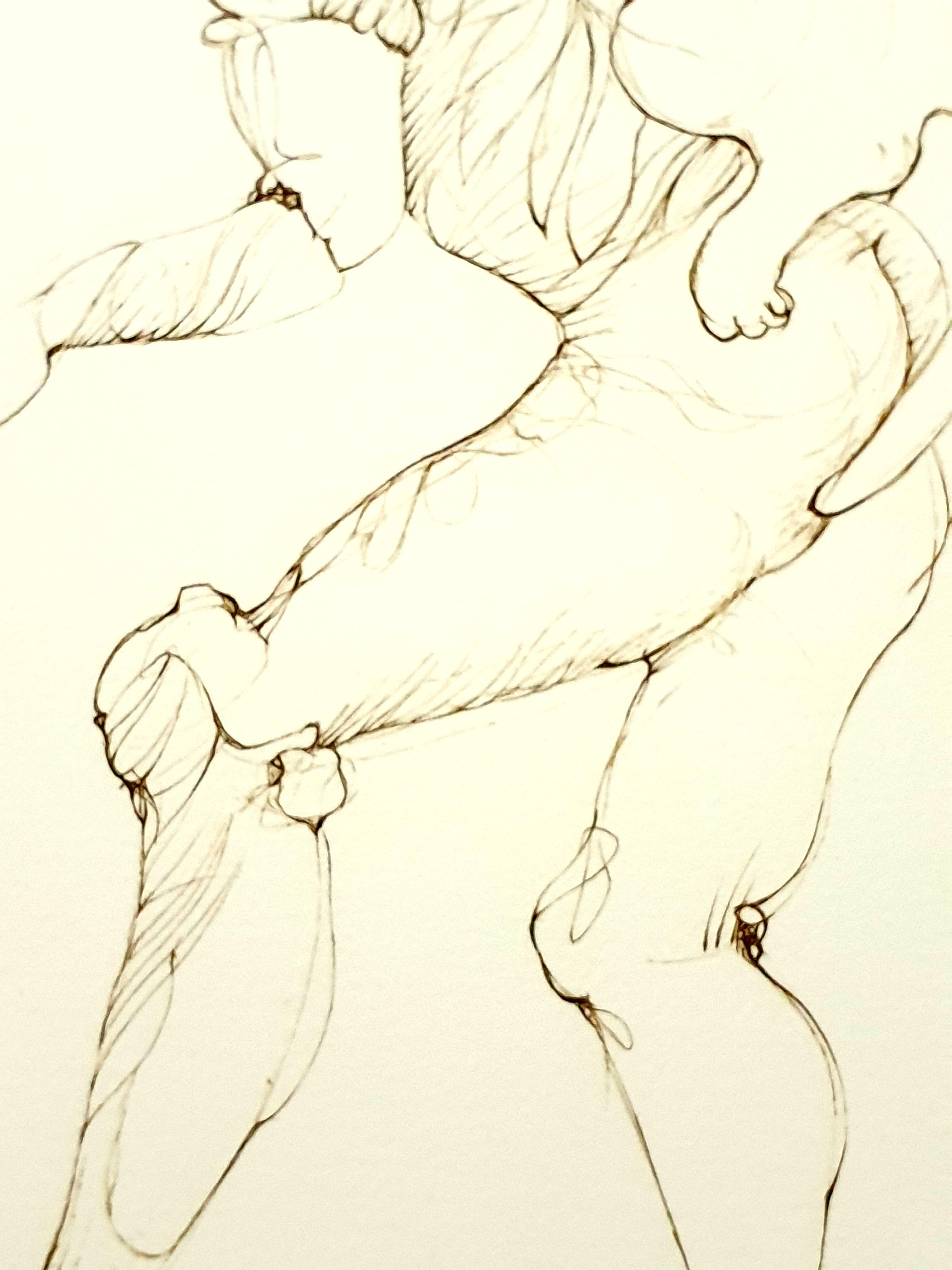 Leonor Fini - Gatto pesante - Litografia originale firmata a mano in vendita 6